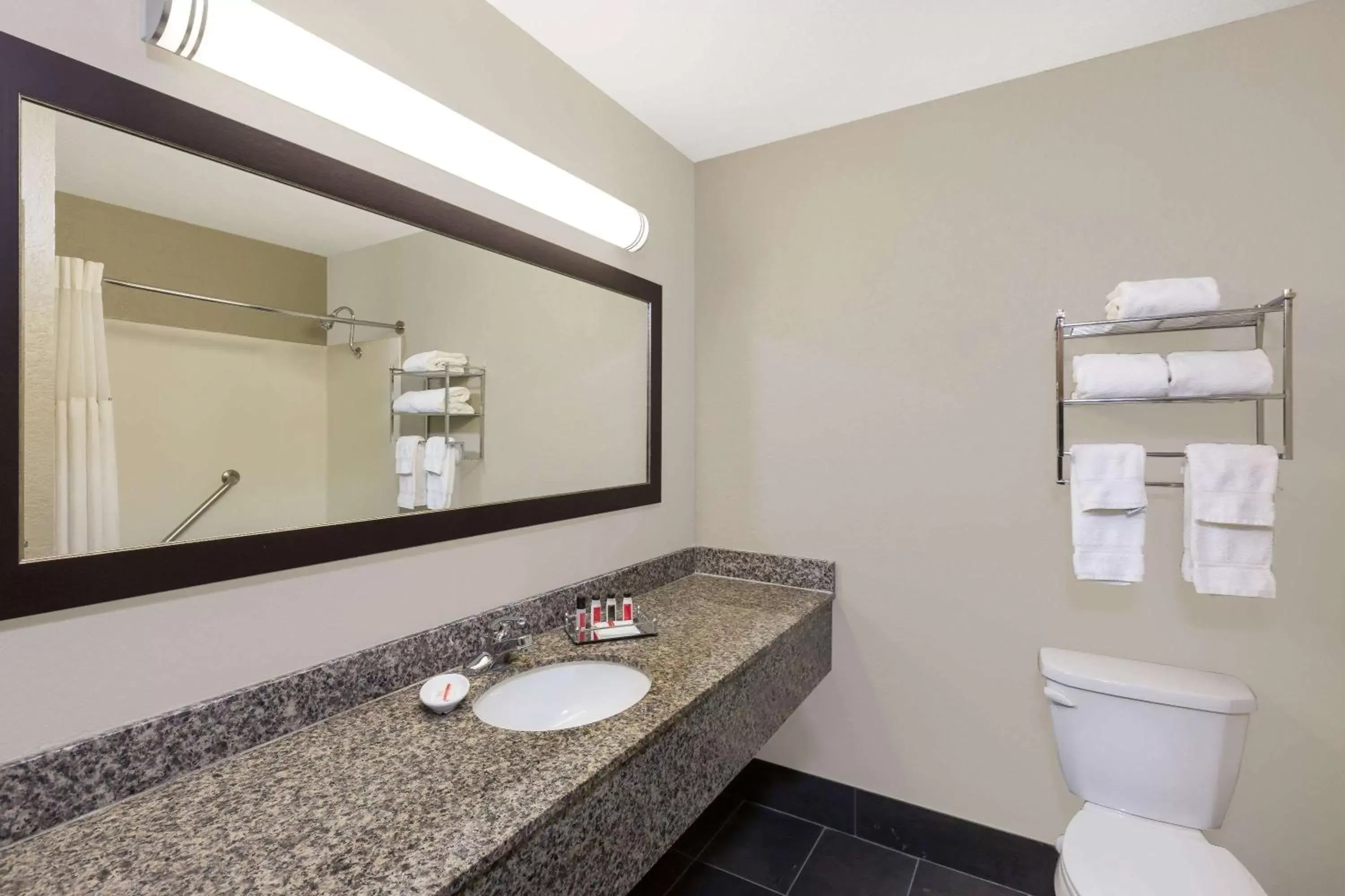 Bathroom in Ramada by Wyndham Des Moines Airport