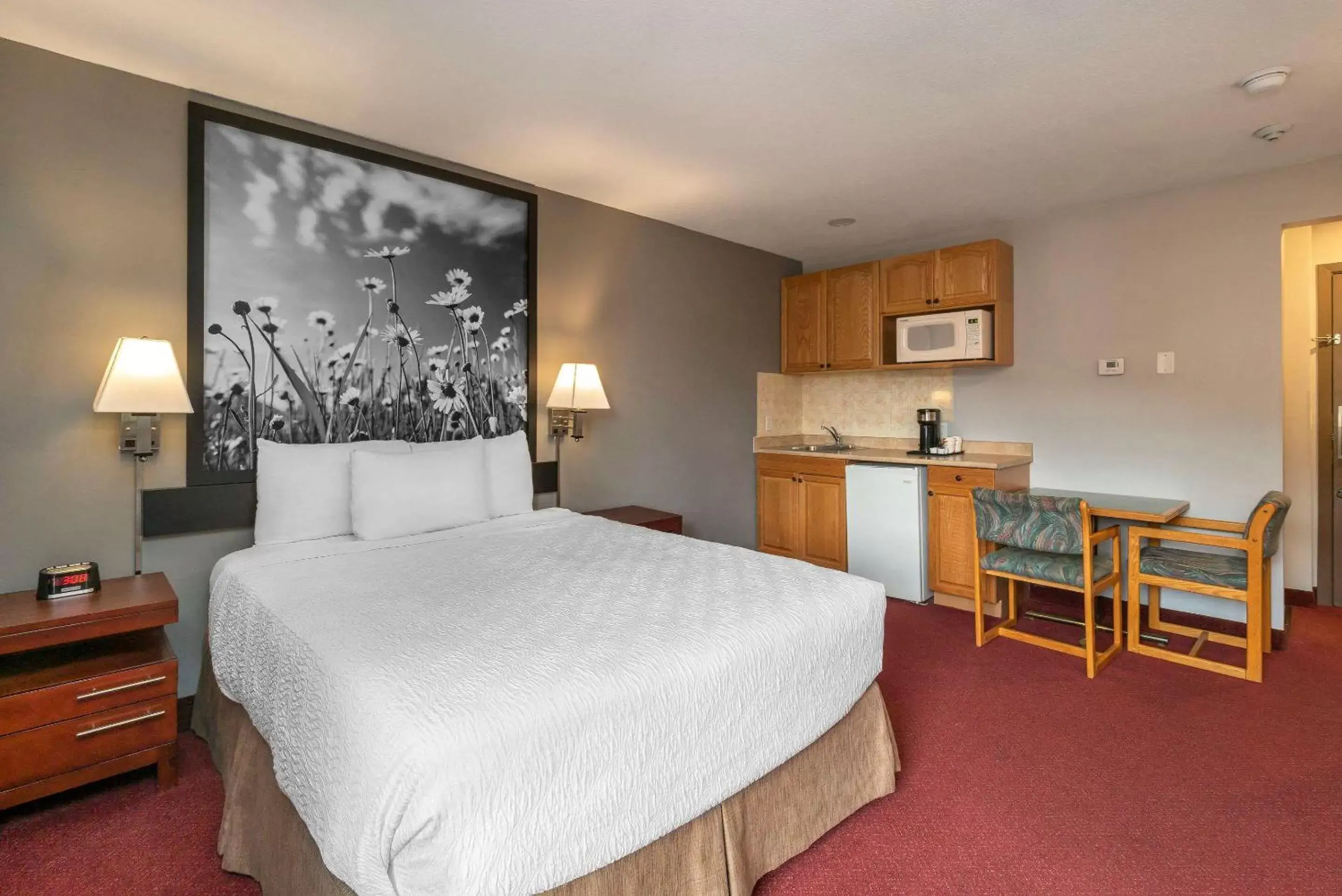 Photo of the whole room, Bed in Quality Inn & Suites