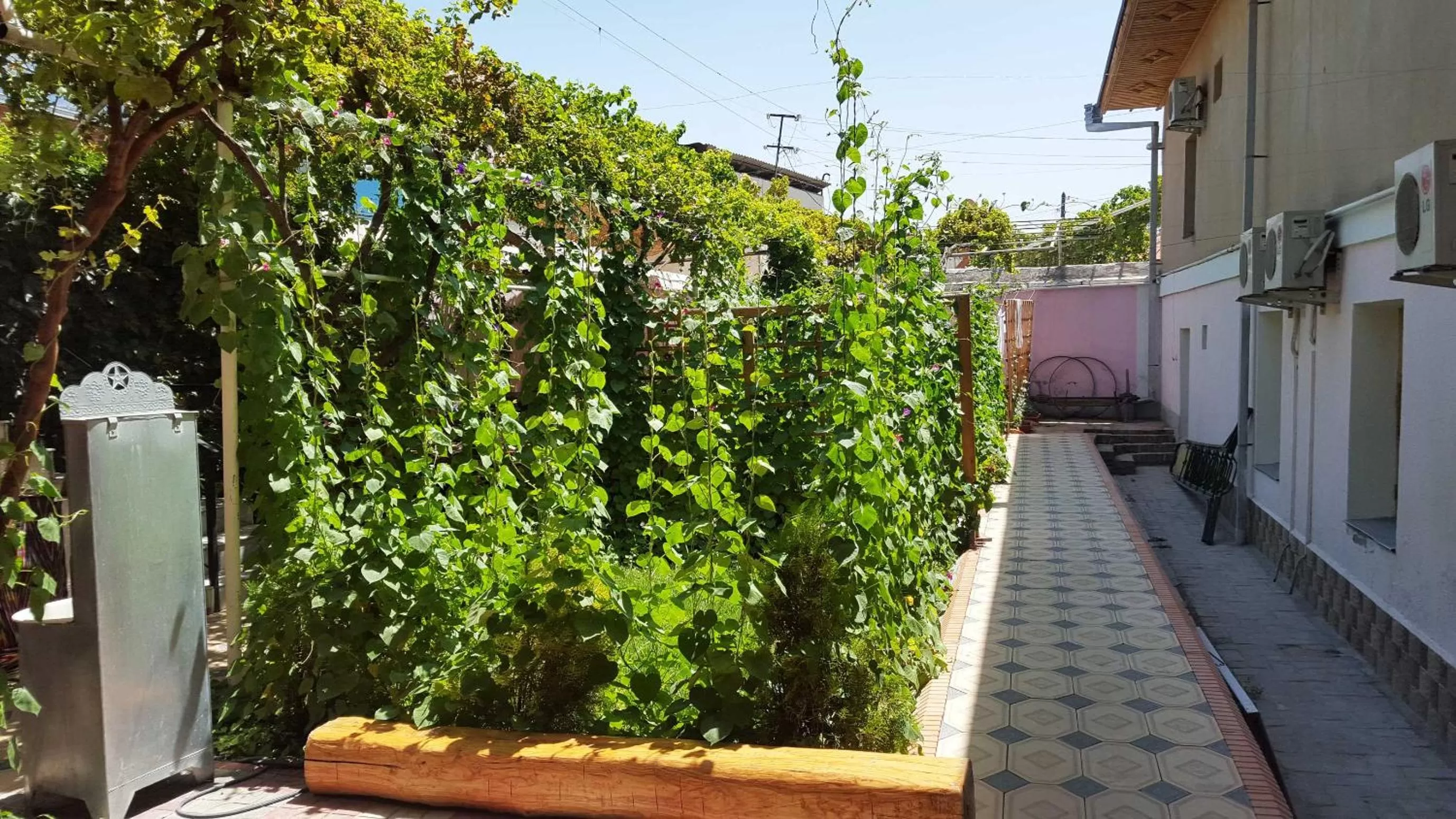 Garden view in Jahongir