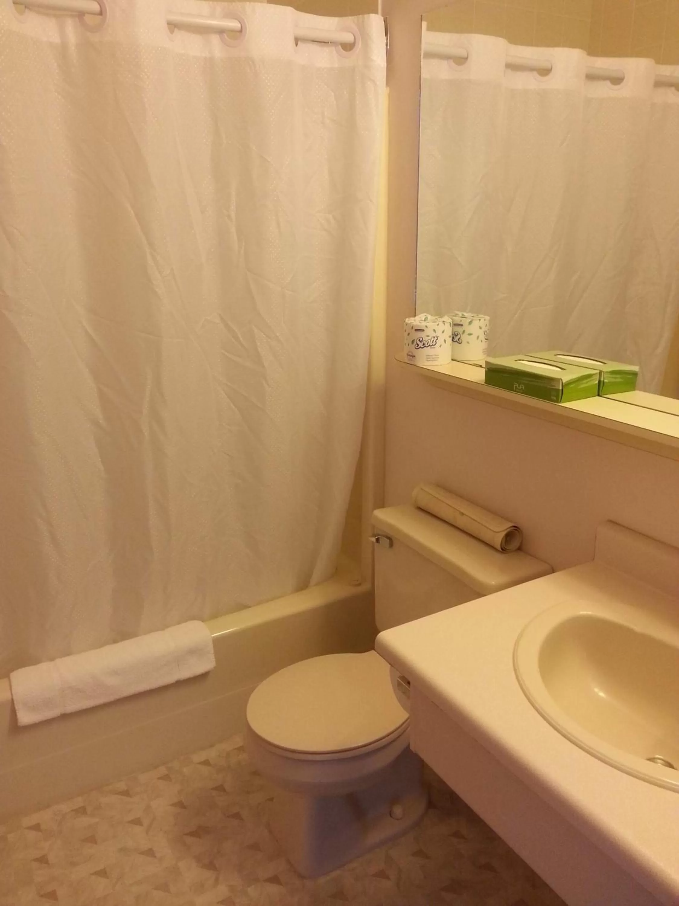 Bathroom in Ace Western Motel