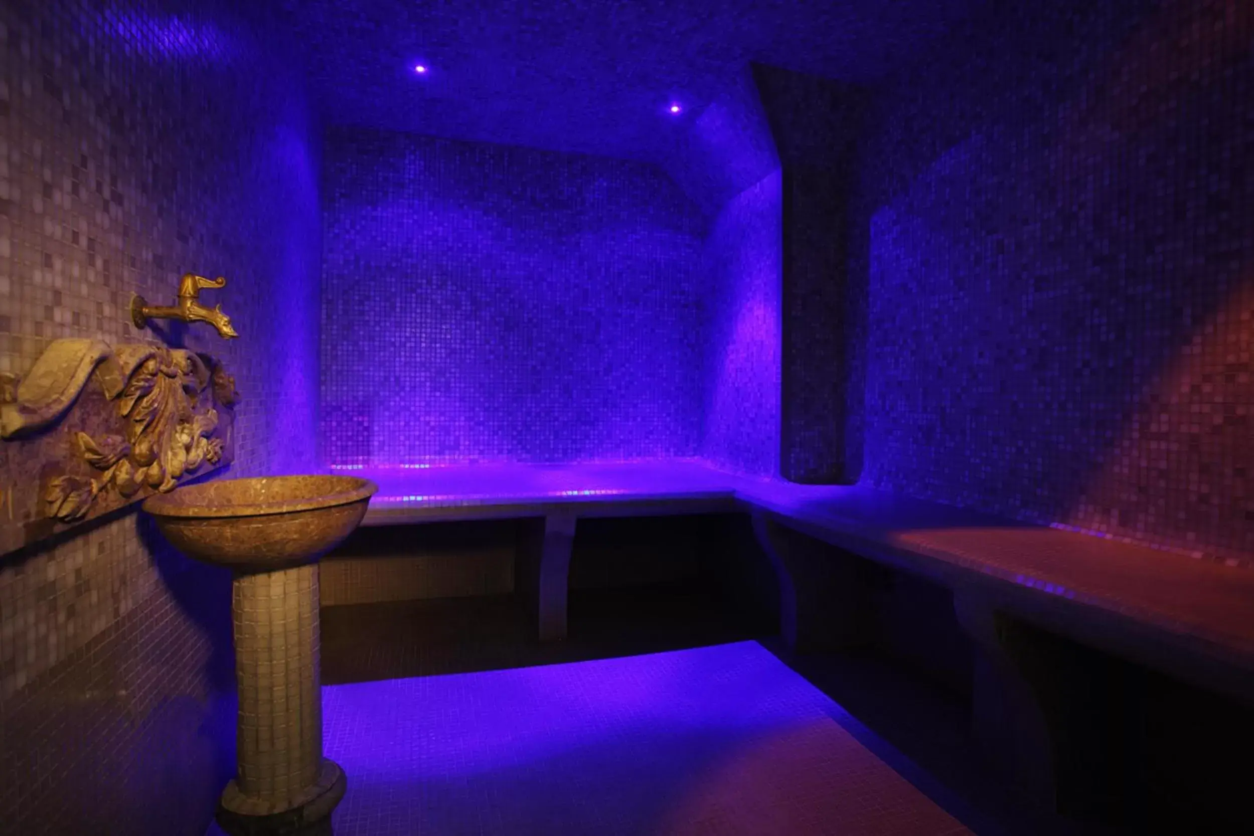 Steam room, Spa/Wellness in Borghese Palace Art Hotel