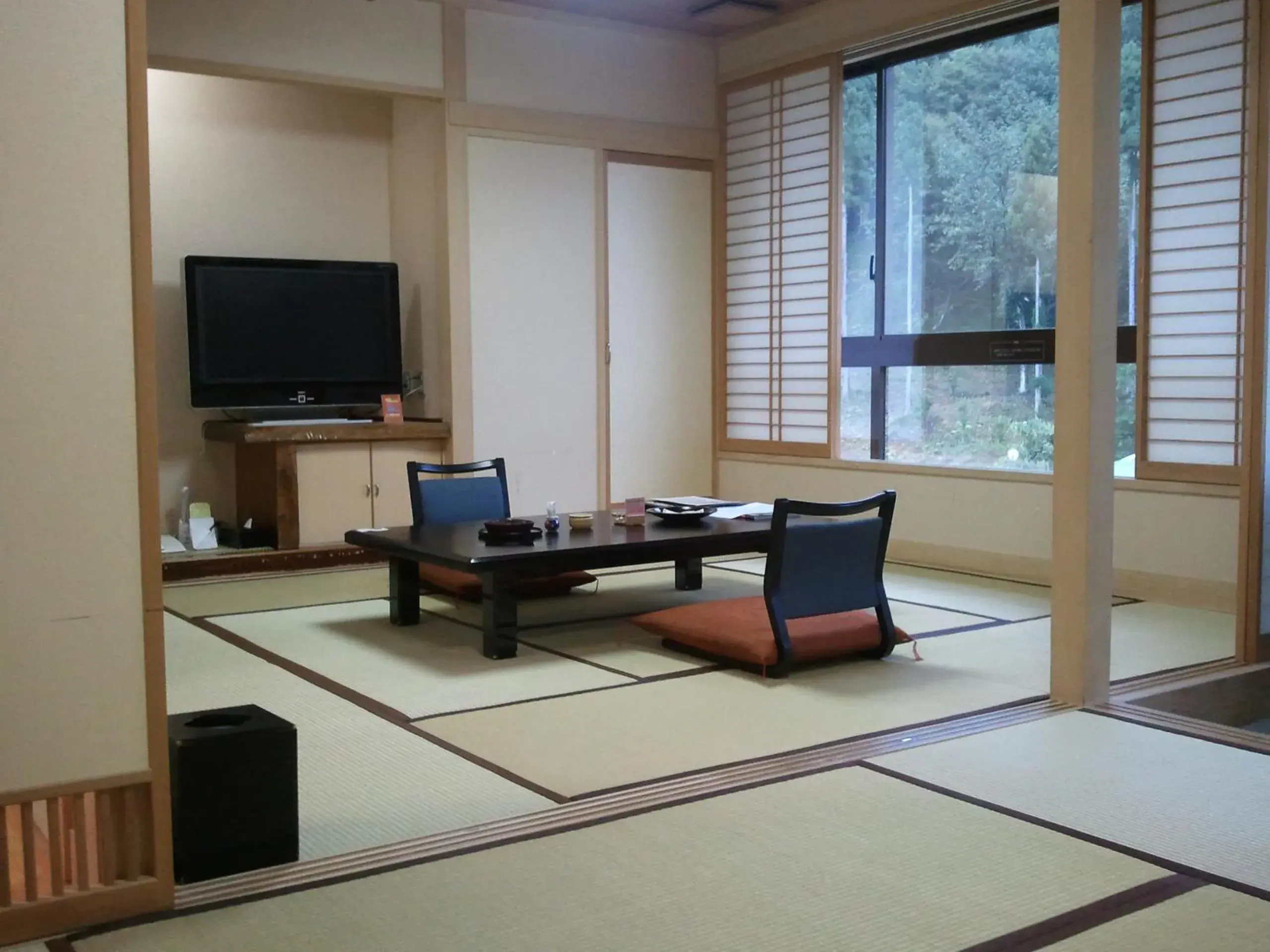 Photo of the whole room, TV/Entertainment Center in Yuzawa Grand Hotel