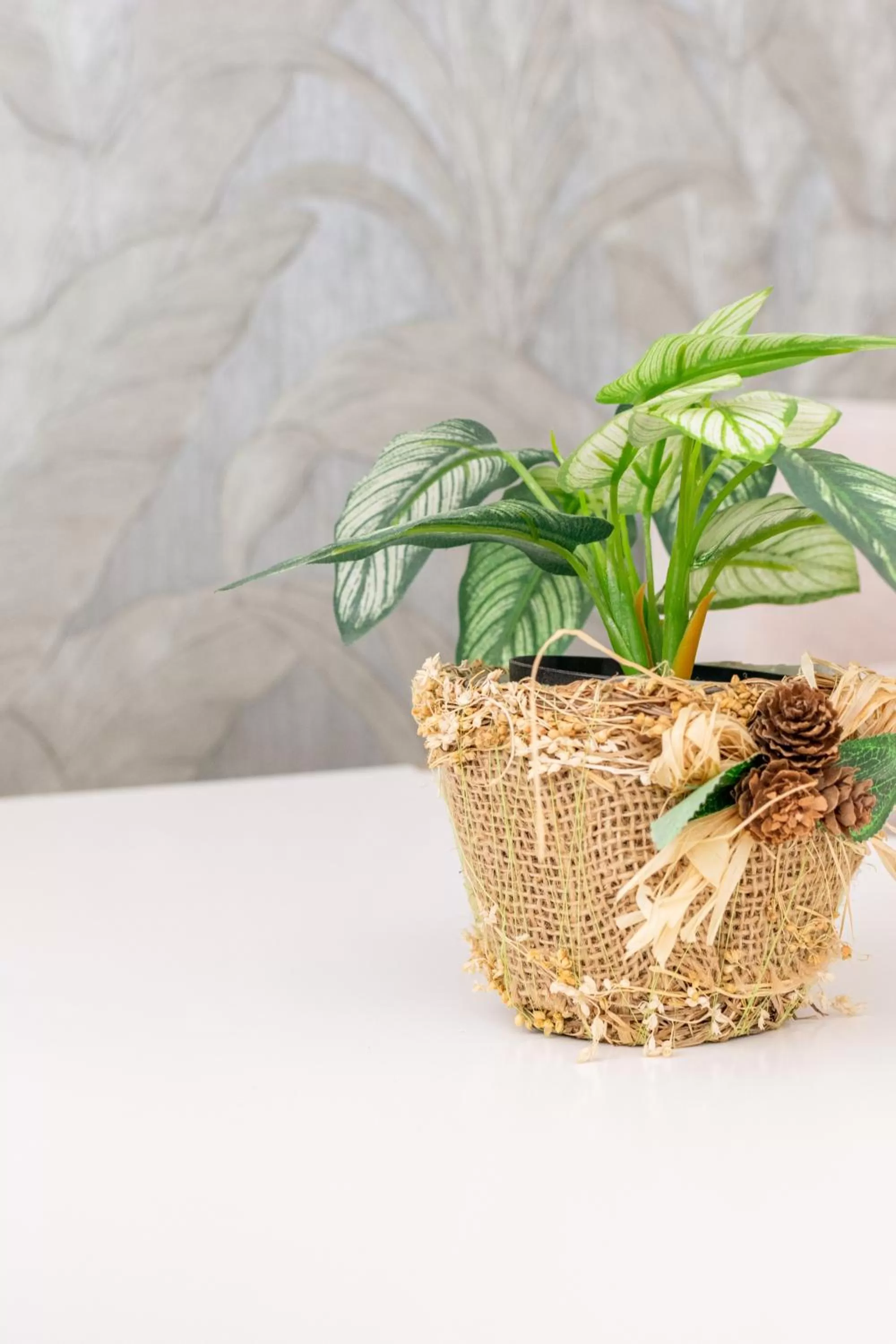 Patio in Gce Hoteles