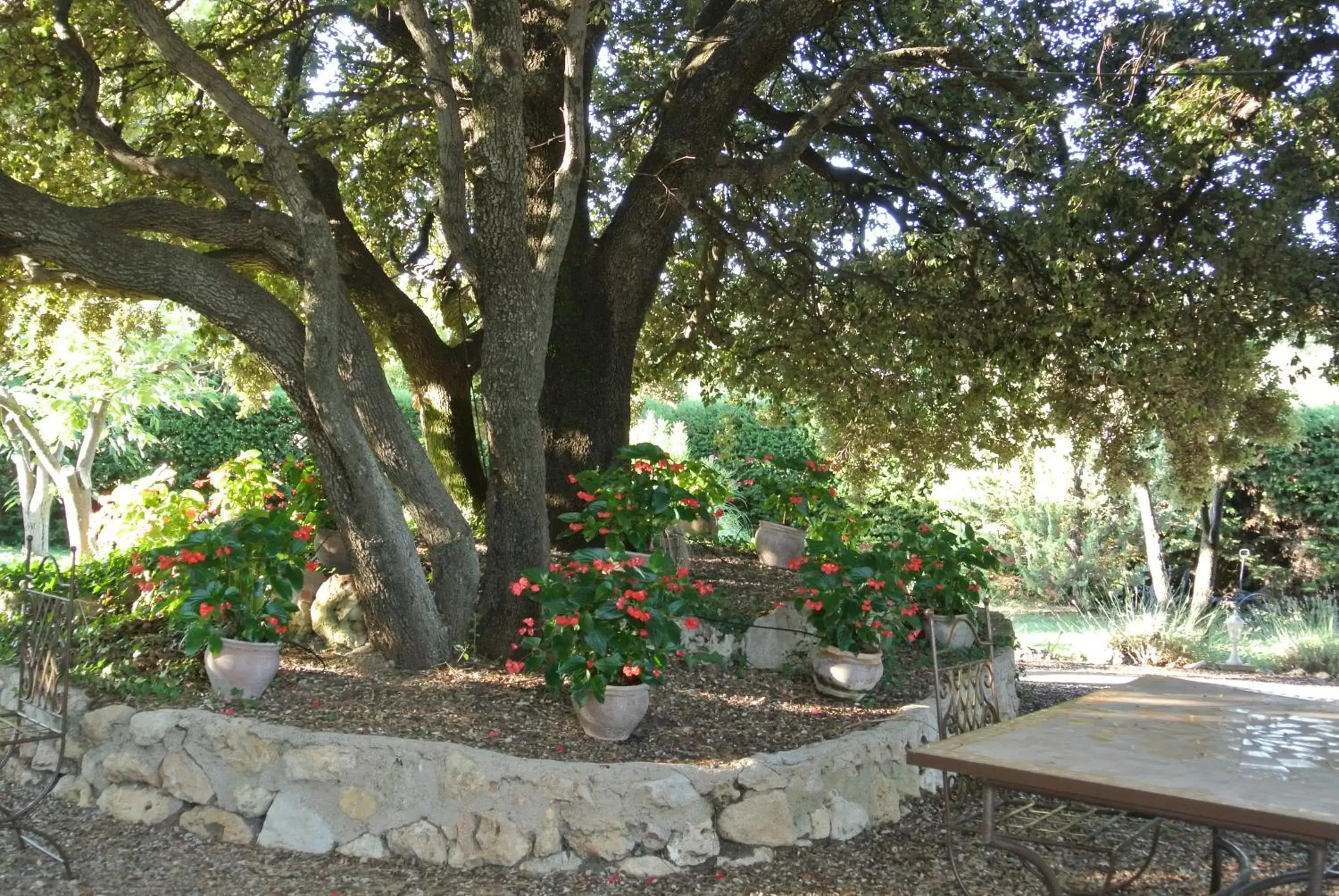 Garden in La Vieille Bastide