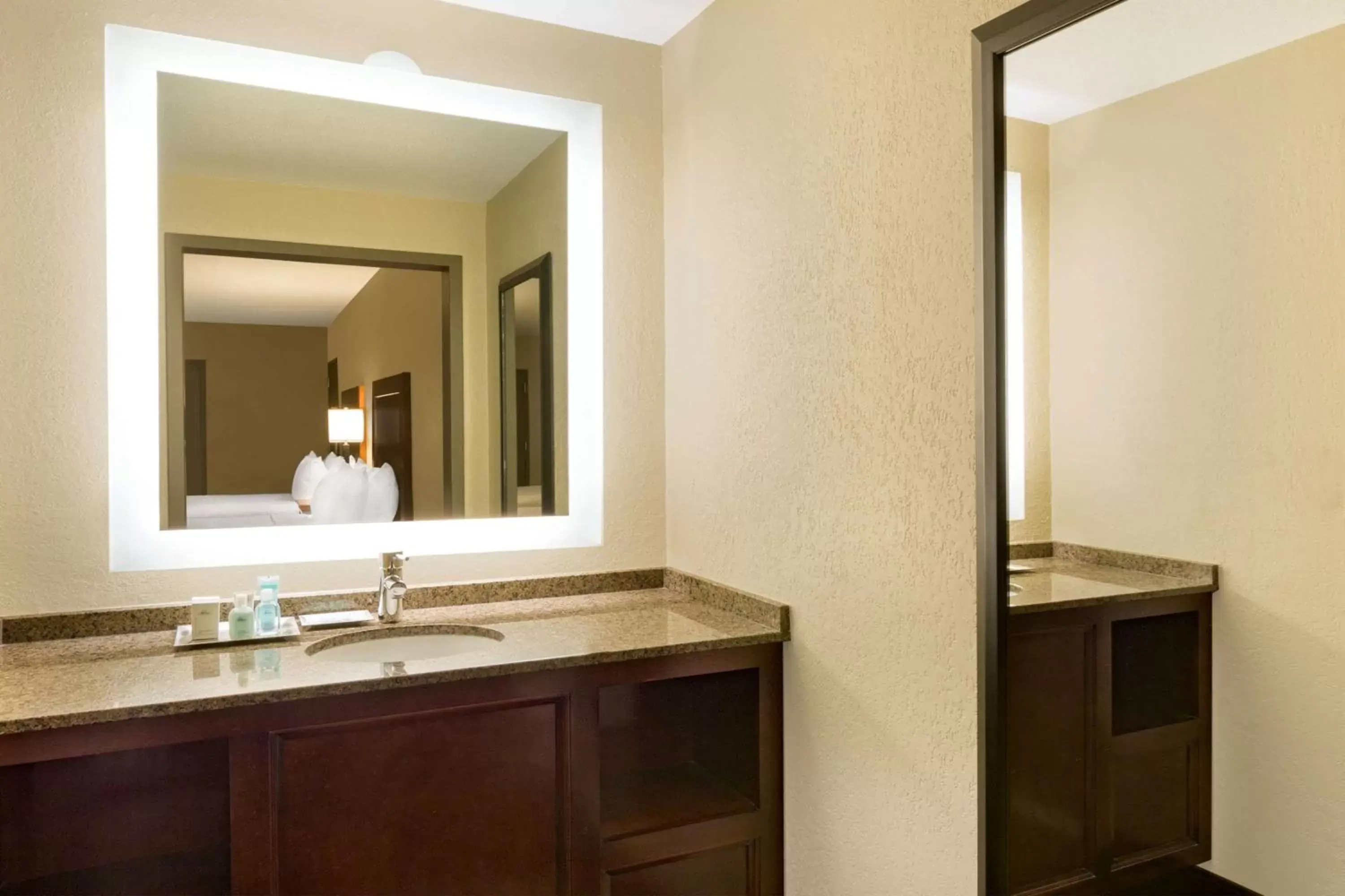 Photo of the whole room, Bathroom in Wyndham New Orleans French Quarter
