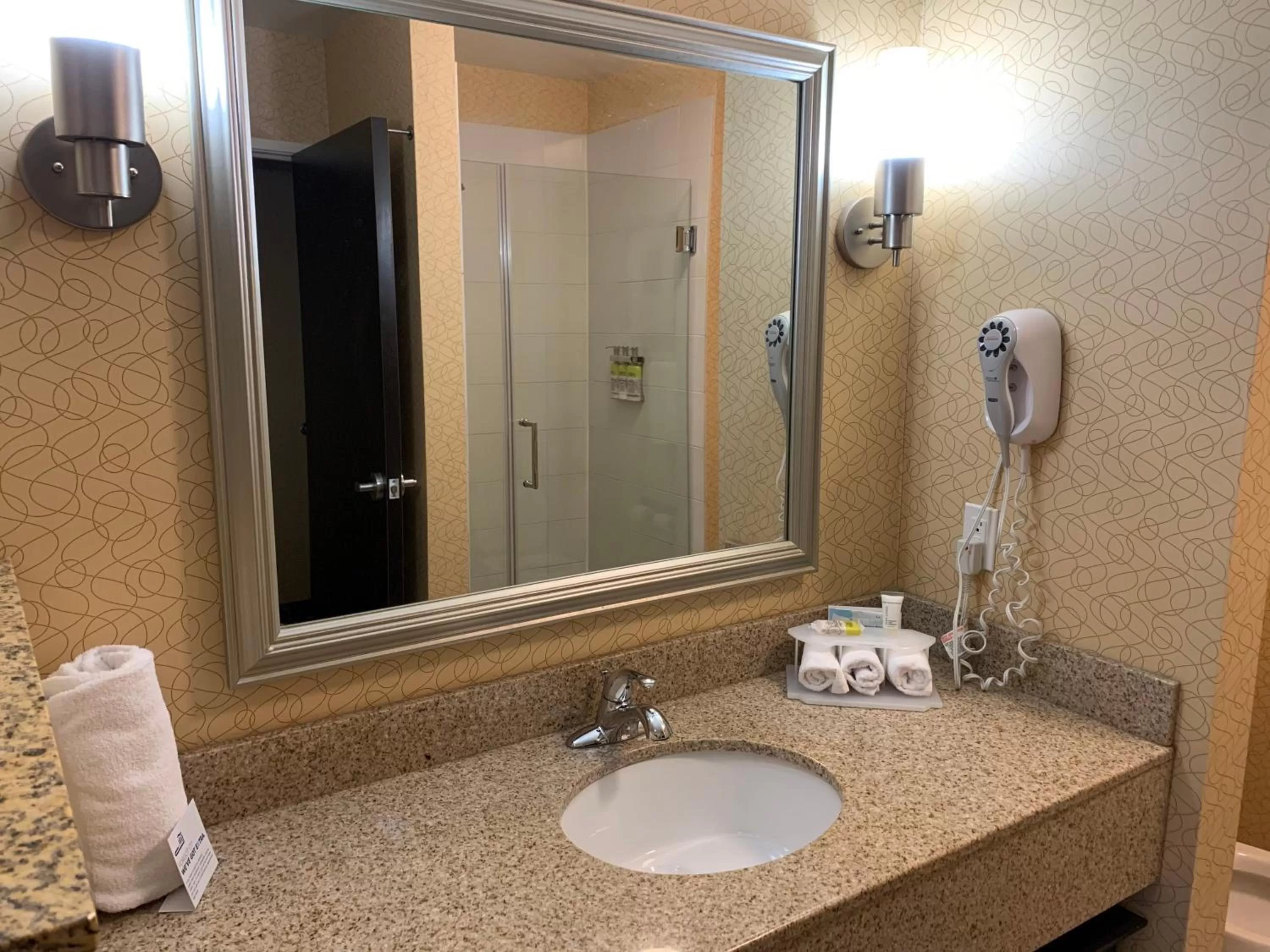 Bathroom in Holiday Inn Express Hotel & Suites Lansing-Dimondale by IHG