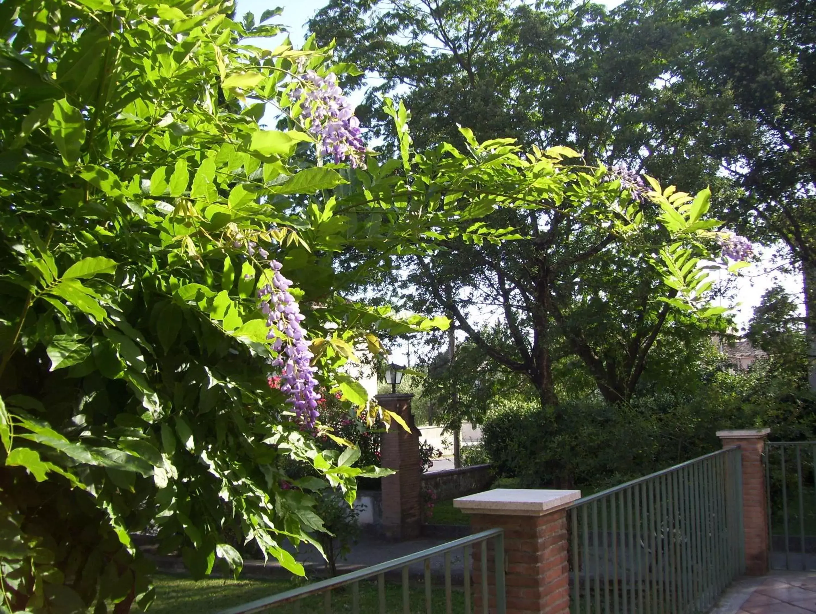 Garden in Hotel Del Sole