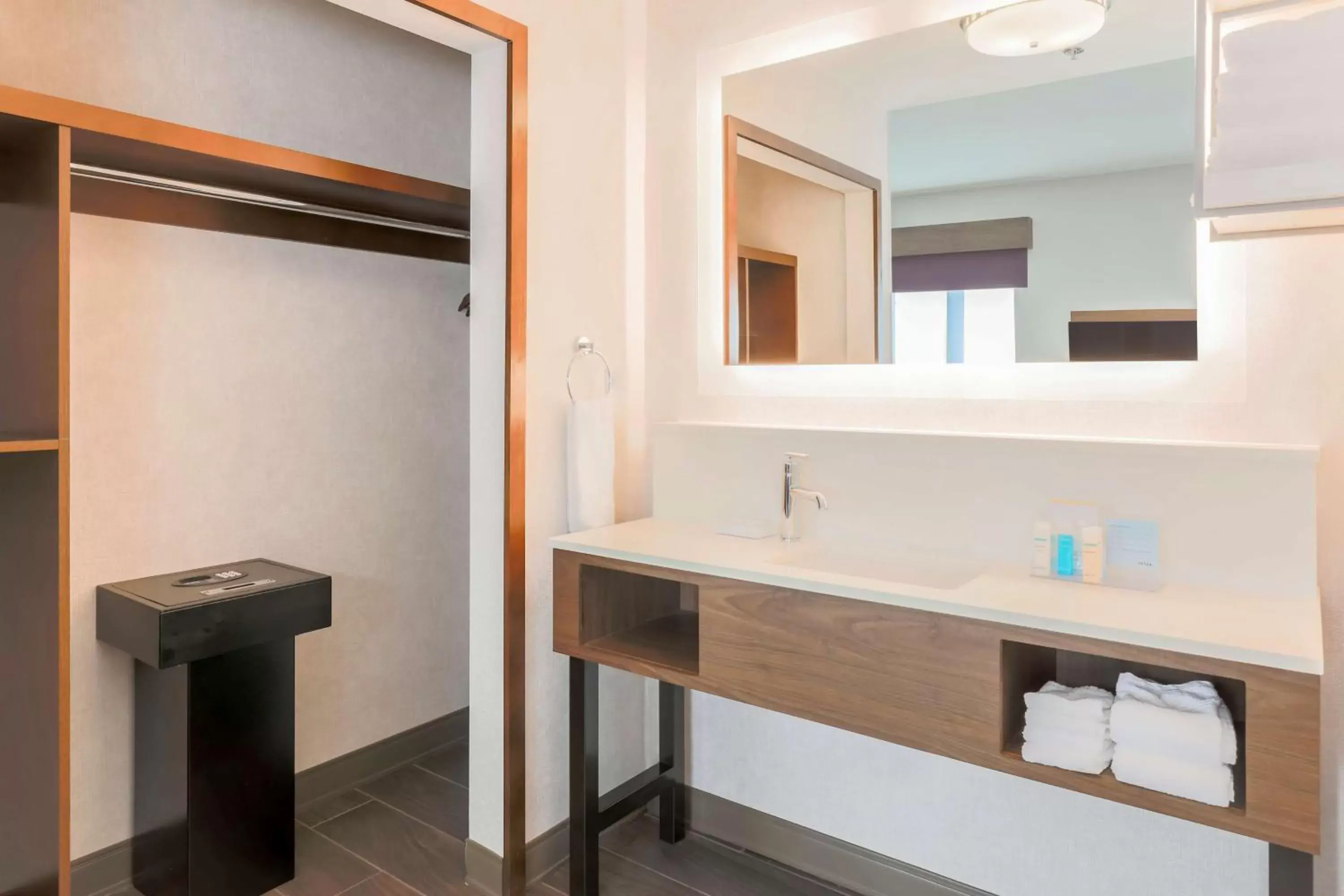 Bathroom in Hampton Inn & Suites Windsor-Sonoma Wine Country