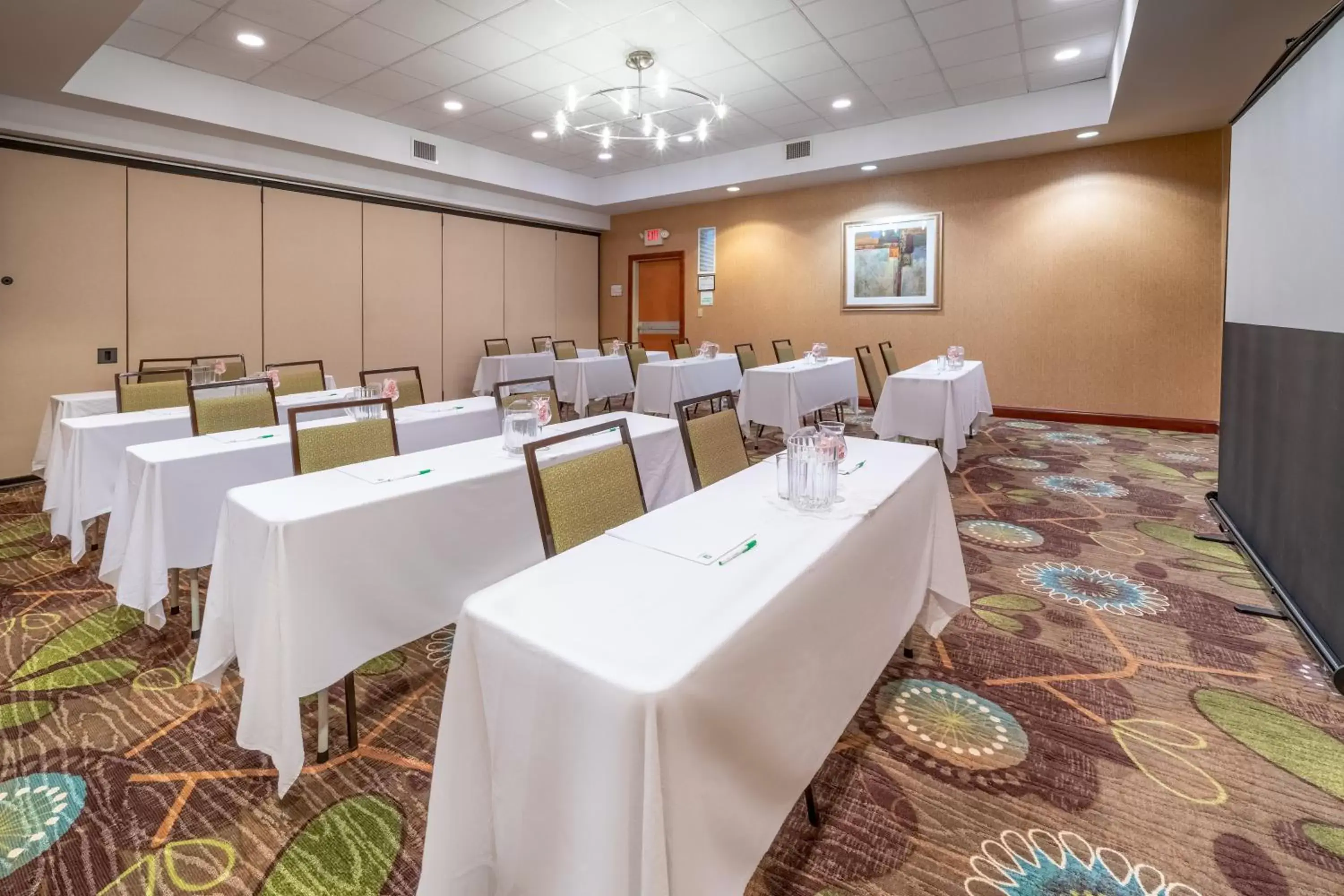 Meeting/conference room in Holiday Inn Manassas - Battlefield, an IHG Hotel