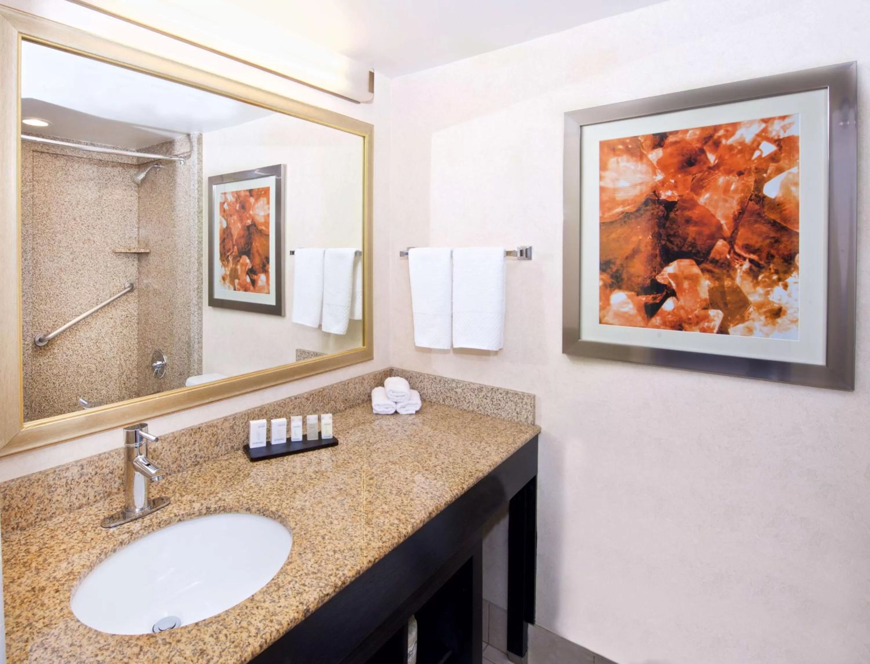 Bathroom in Embassy Suites by Hilton Colorado Springs