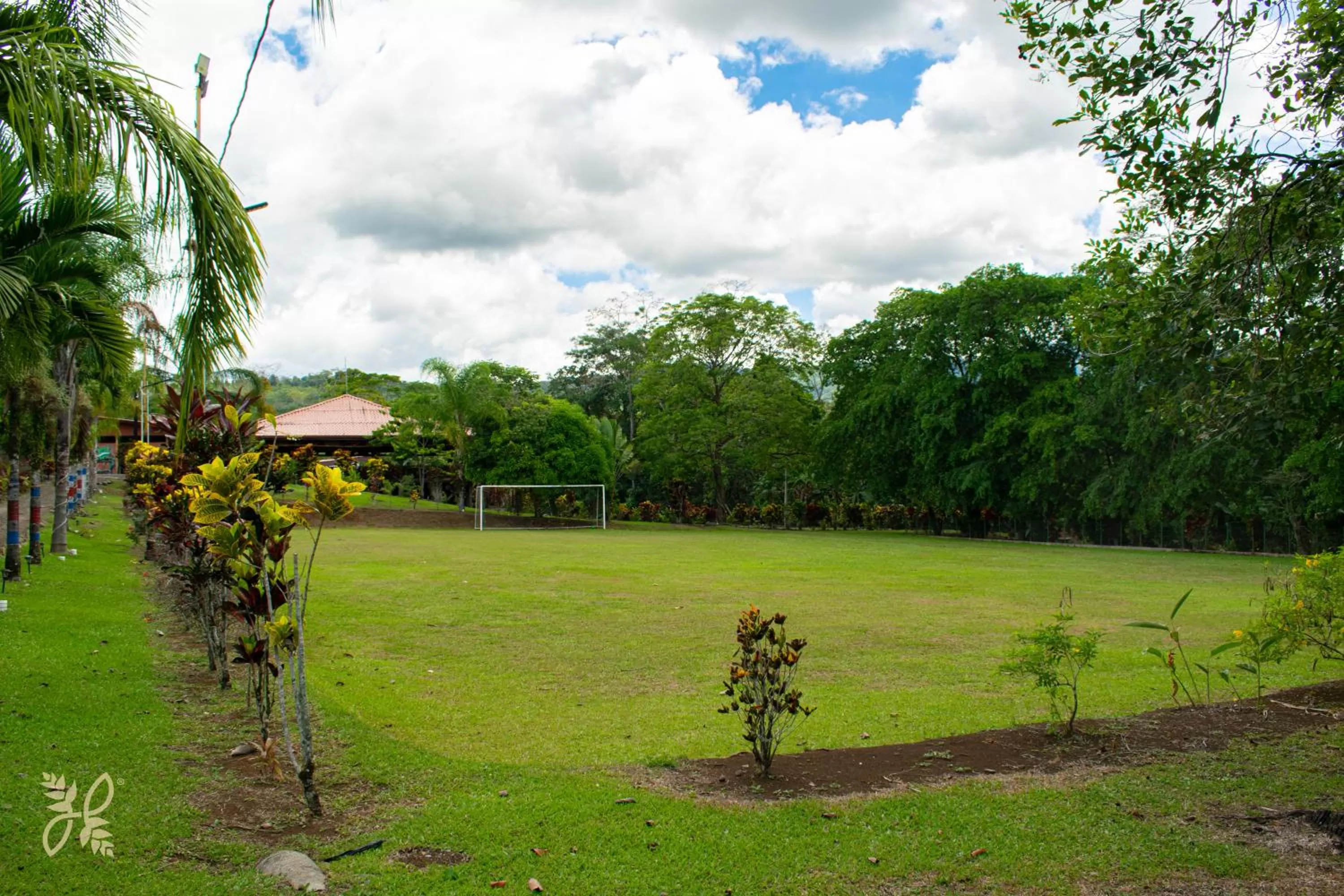 View (from property/room) in Hotel Heliconias Nature Inn & Hot Springs