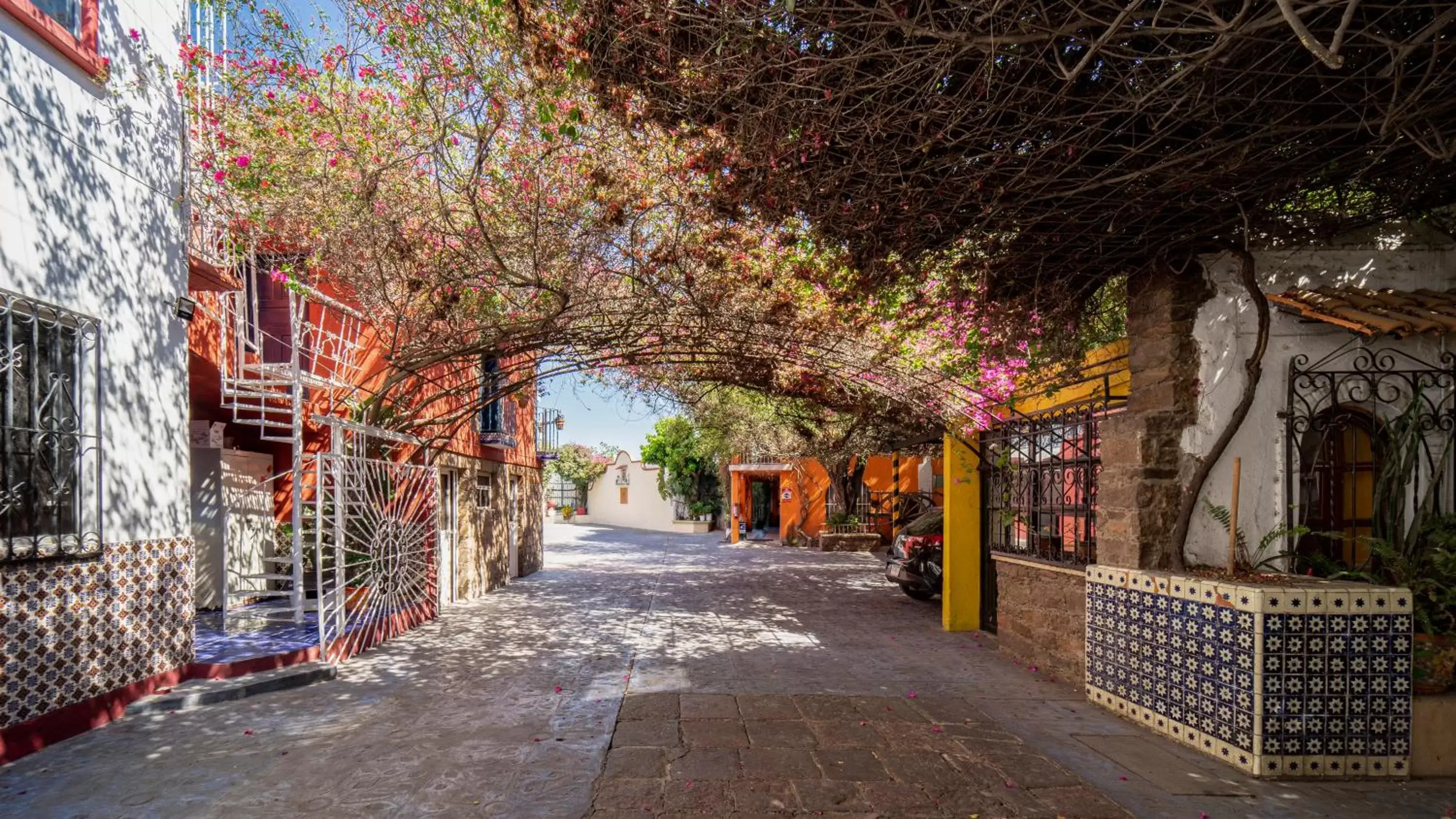 Facade/entrance in Hotel Posada Bugambilias