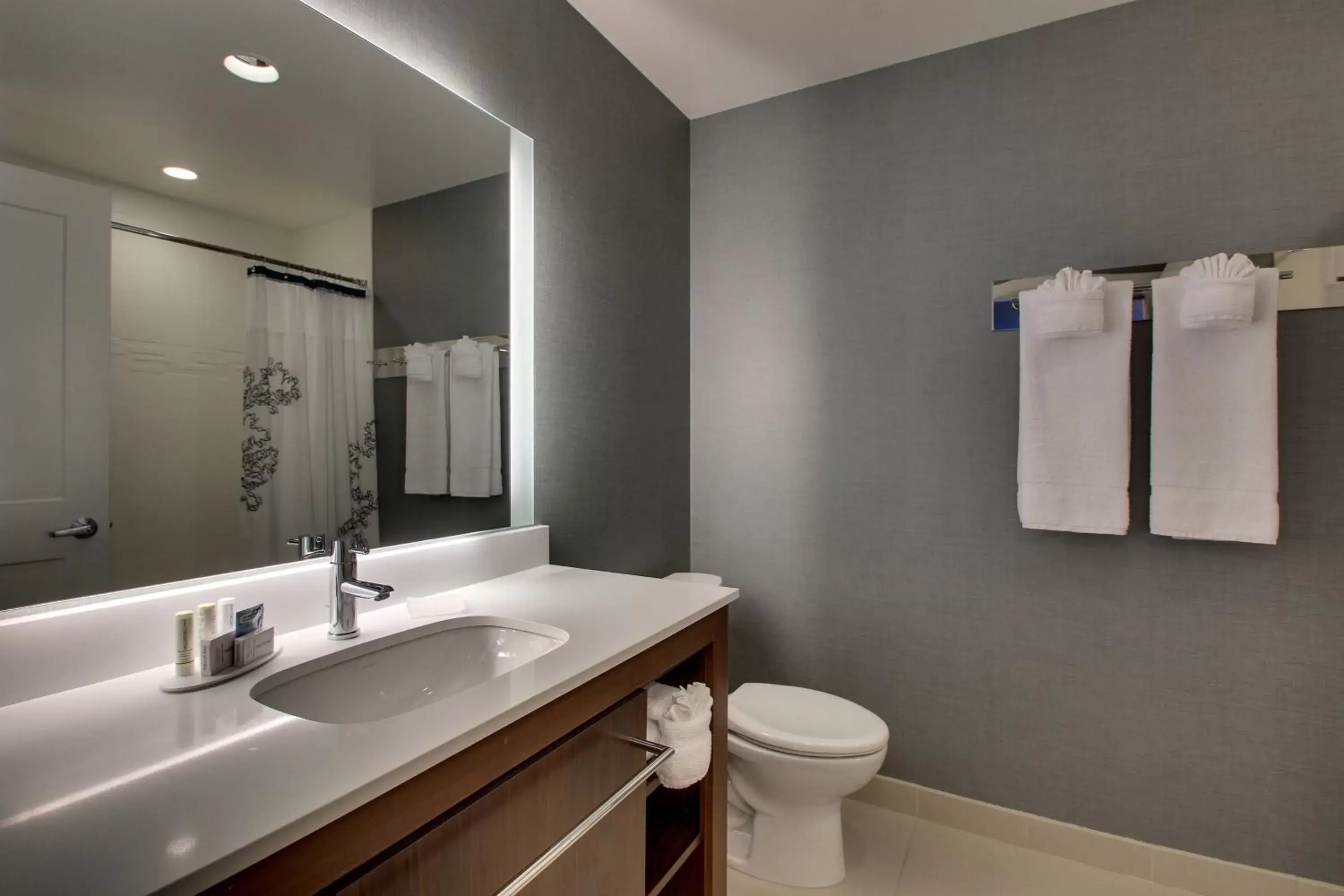 Bathroom in Residence Inn by Marriott Philadelphia Valley Forge/Collegeville