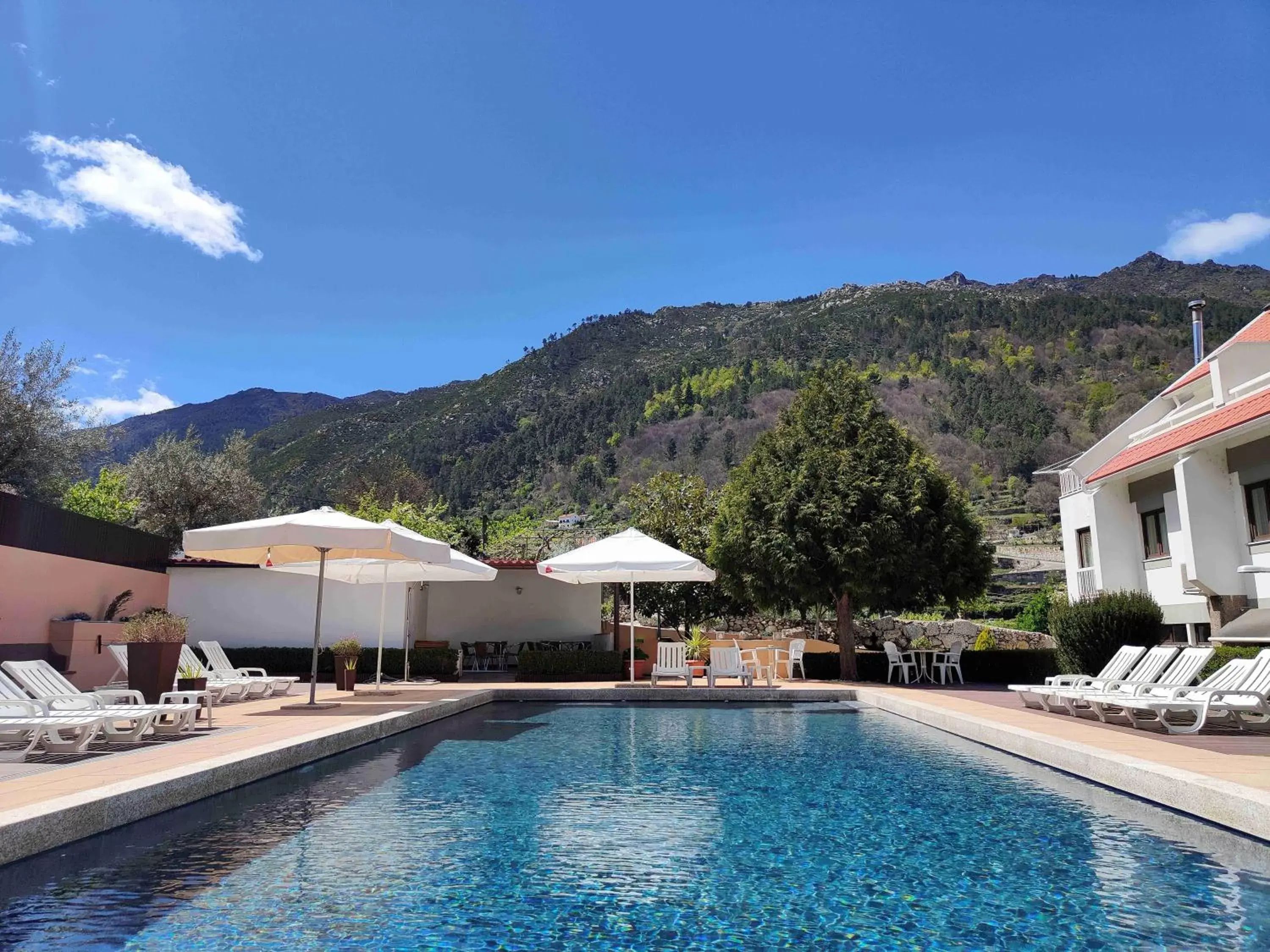 Swimming Pool in Hotel Berne