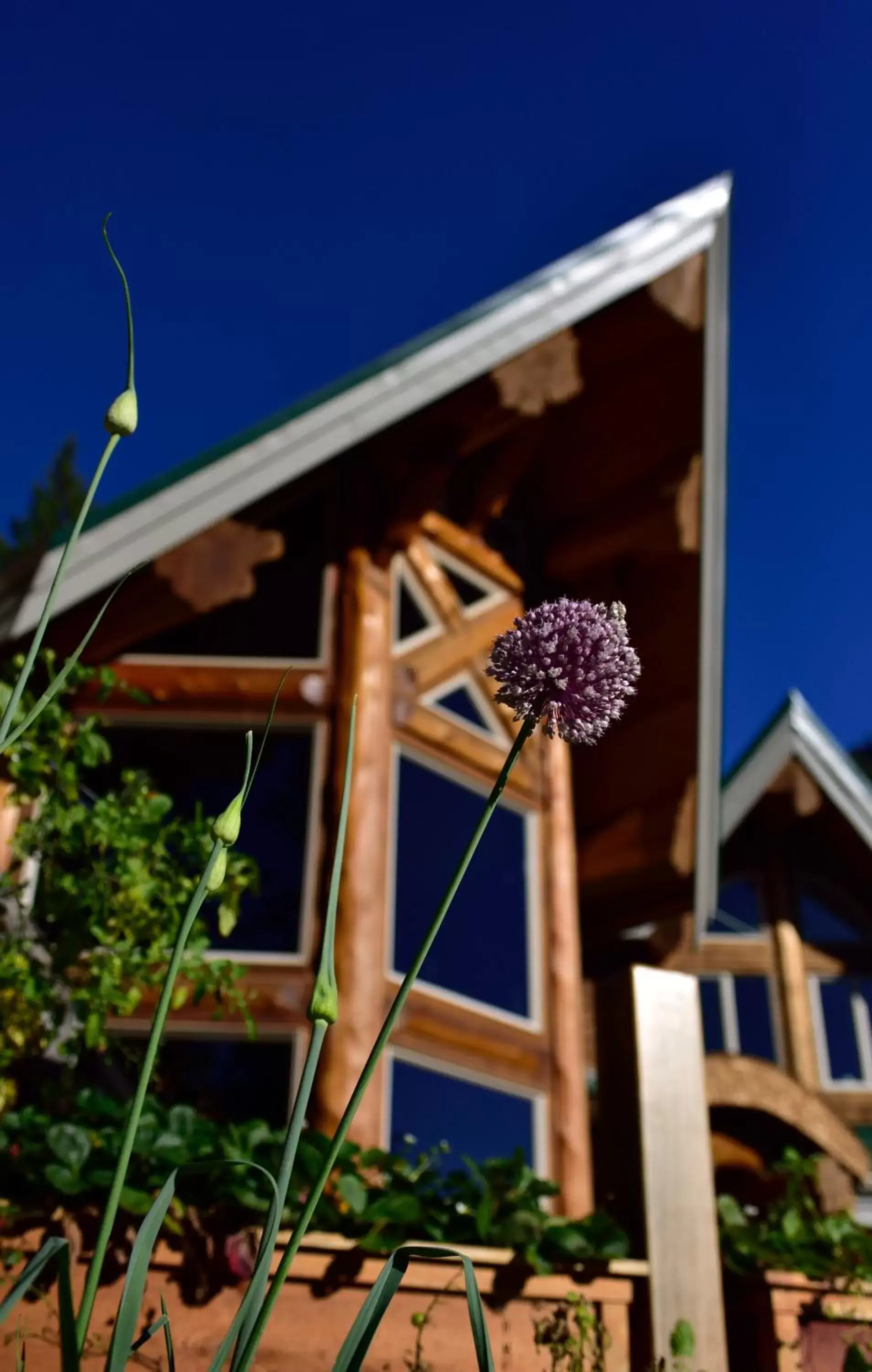 Facade/entrance, Property Building in The Rockwell-Harrison Guest Lodge