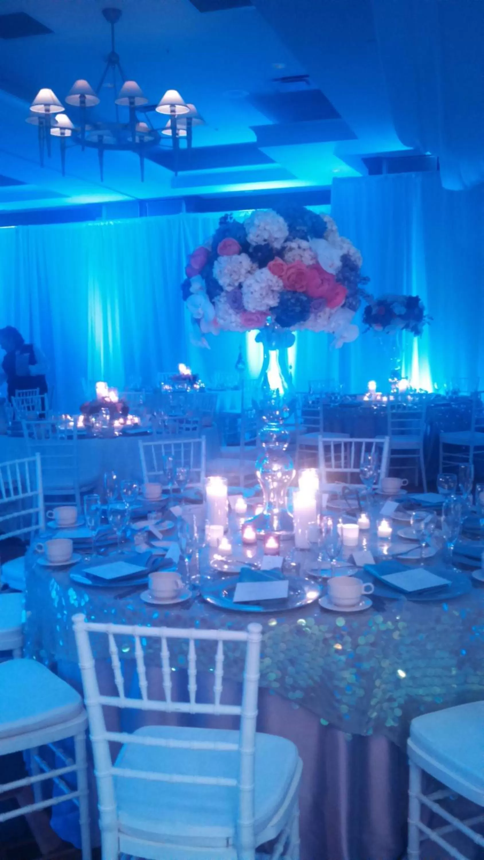 Meeting/conference room in DoubleTree by Hilton Rochester