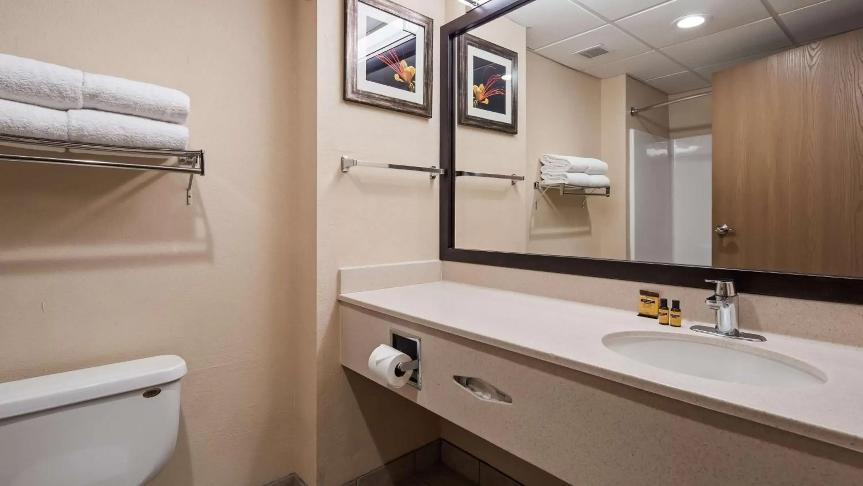 Bathroom in Best Western Plus Ruidoso Inn