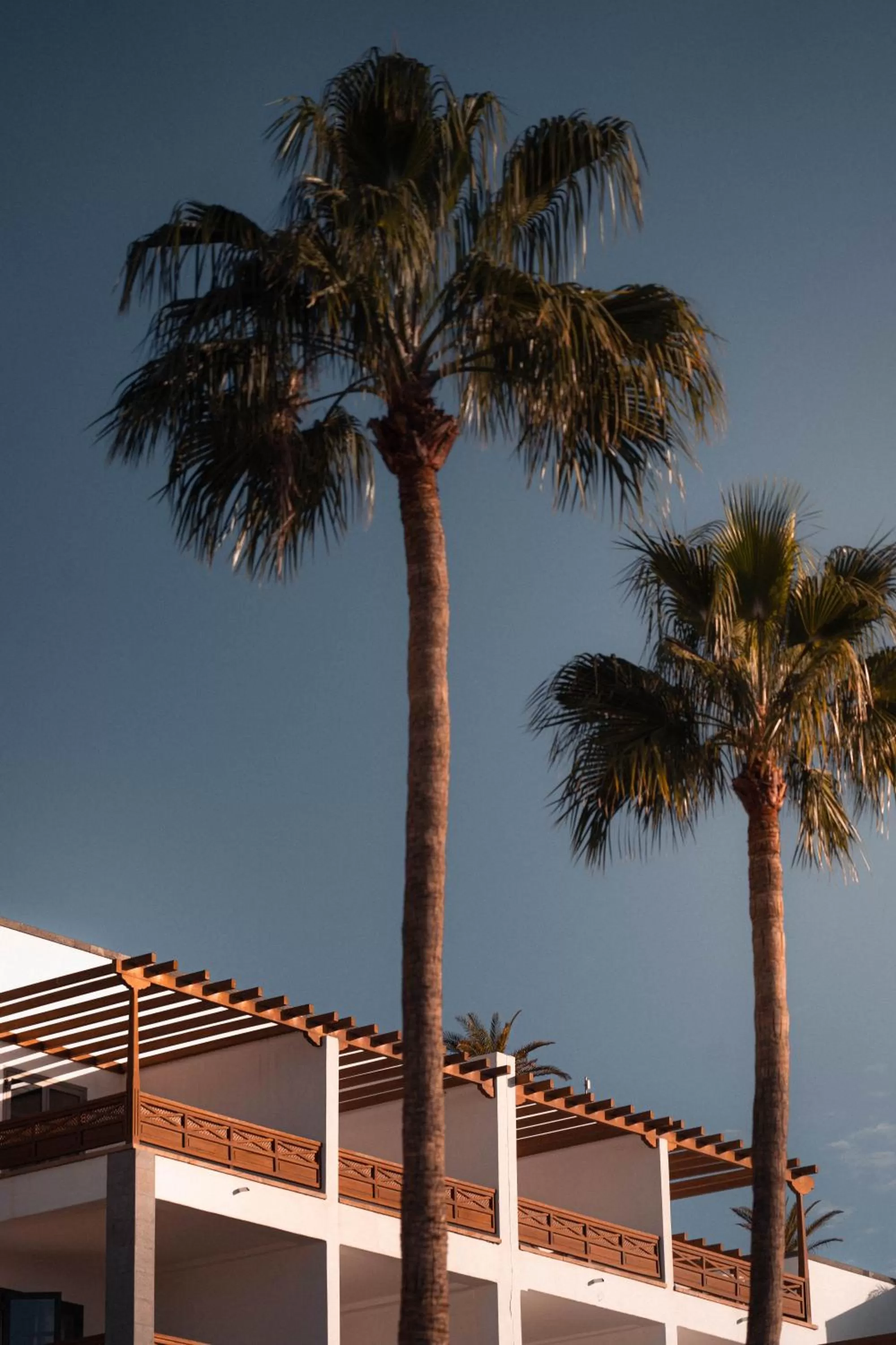 Day in Princesa Yaiza Suite Hotel Resort