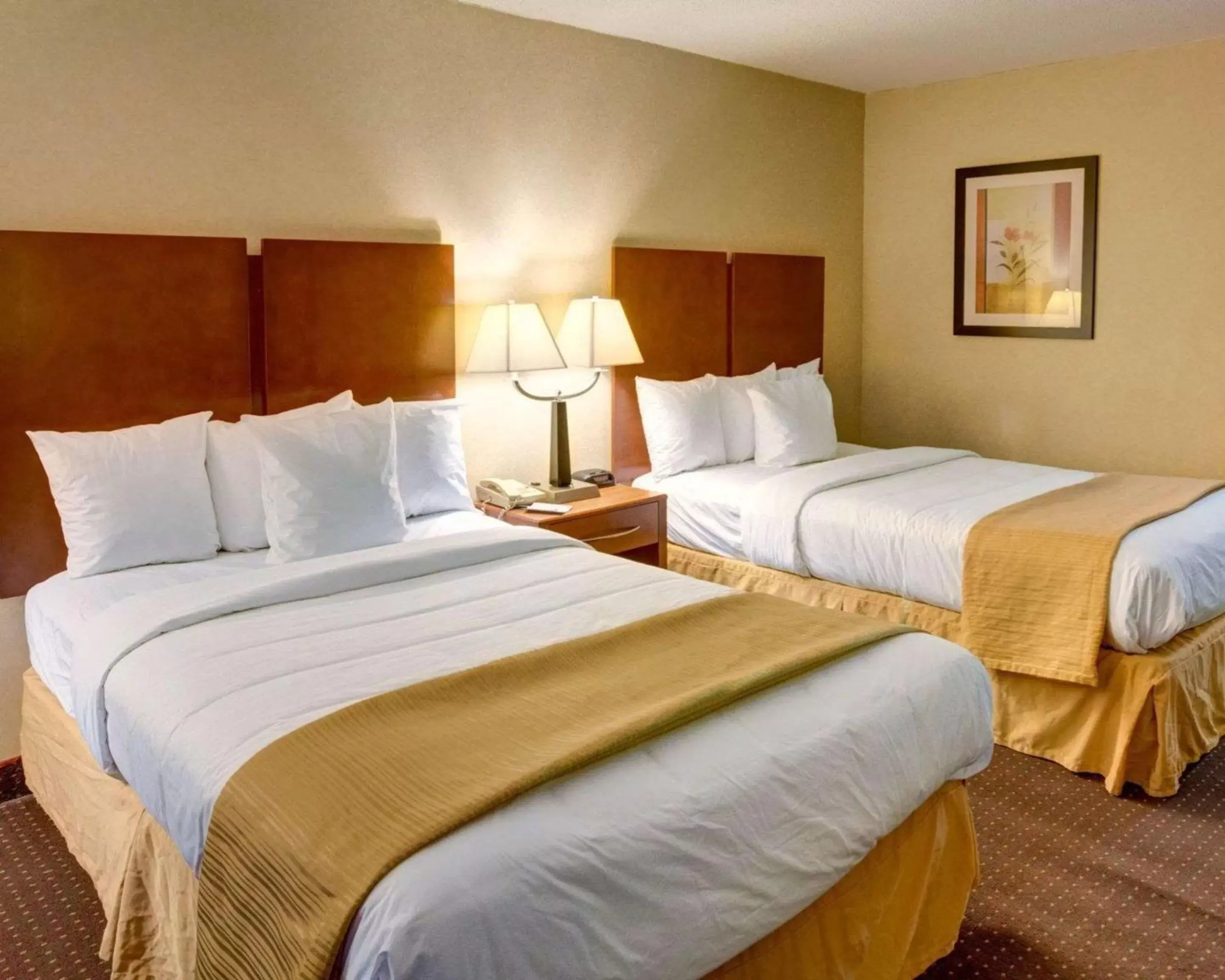 Photo of the whole room, Bed in Quality Inn Near Ft. Meade