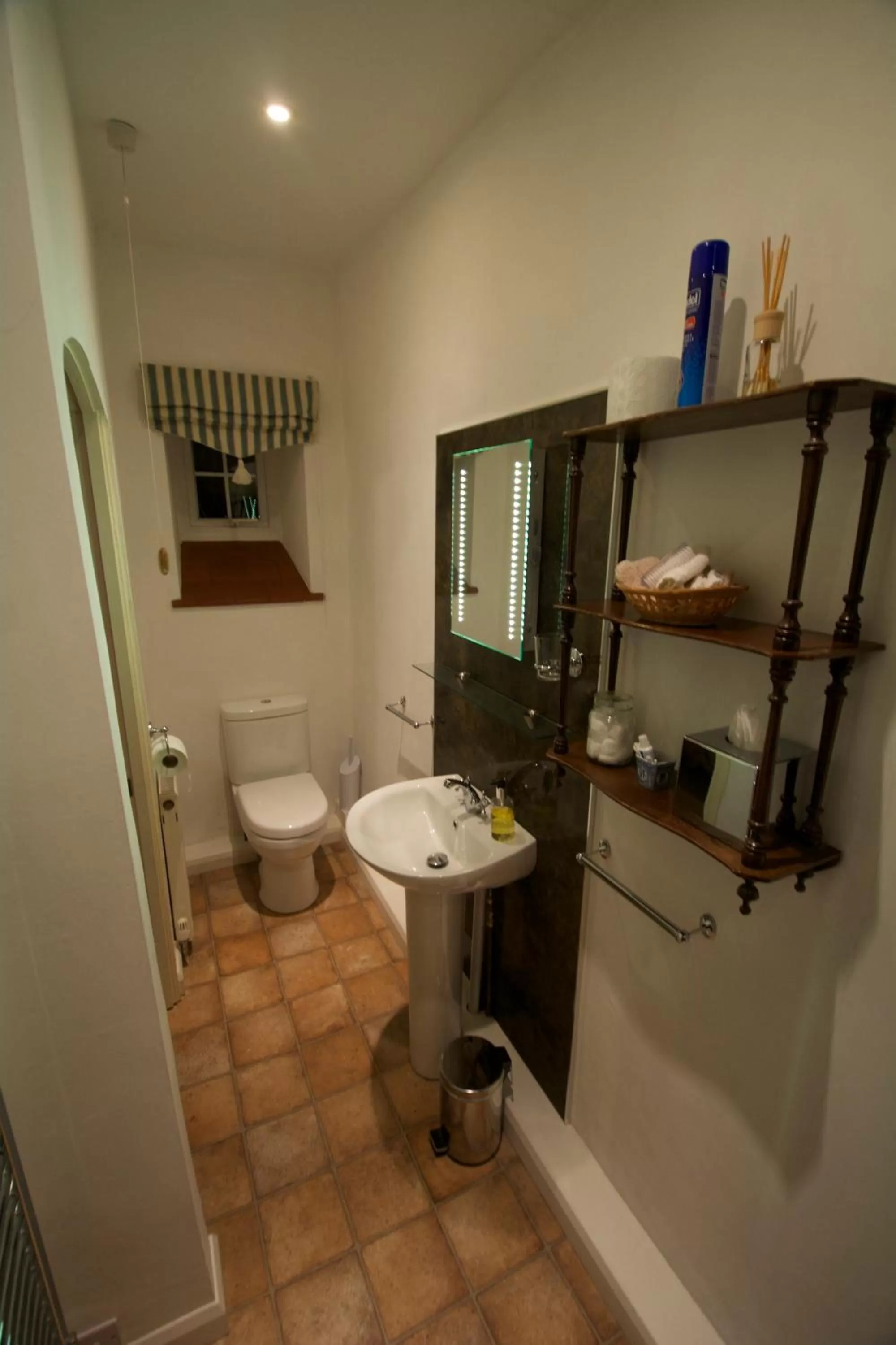 Shower in Lea House Bed and Breakfast