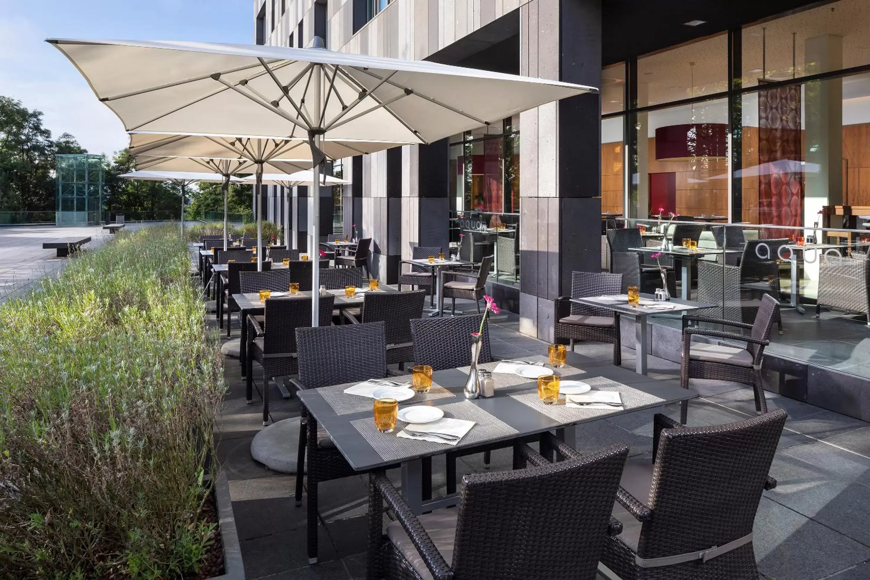 Patio, Restaurant/Places to Eat in Melia Luxembourg
