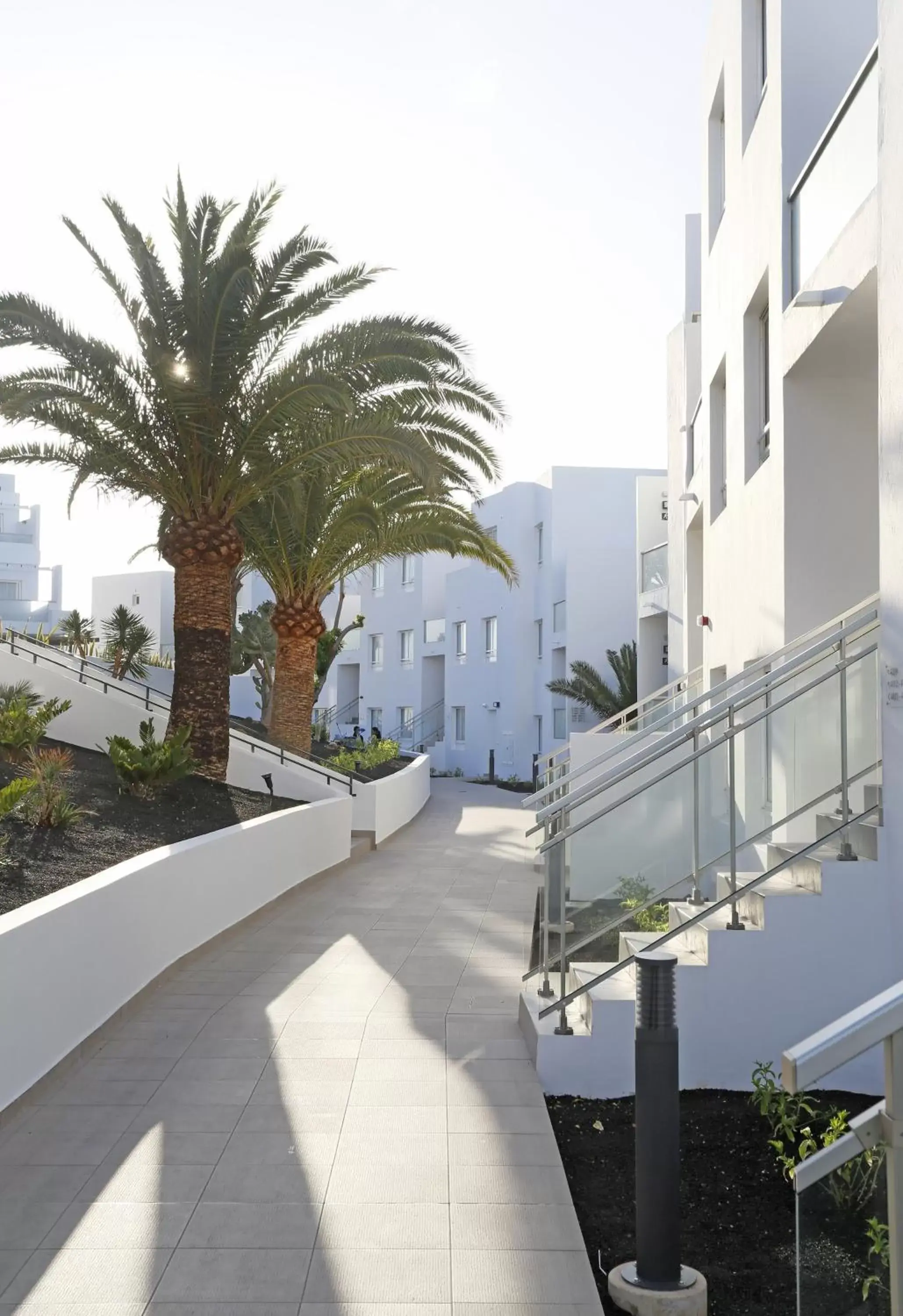 Area and facilities in Aequora Lanzarote Suites