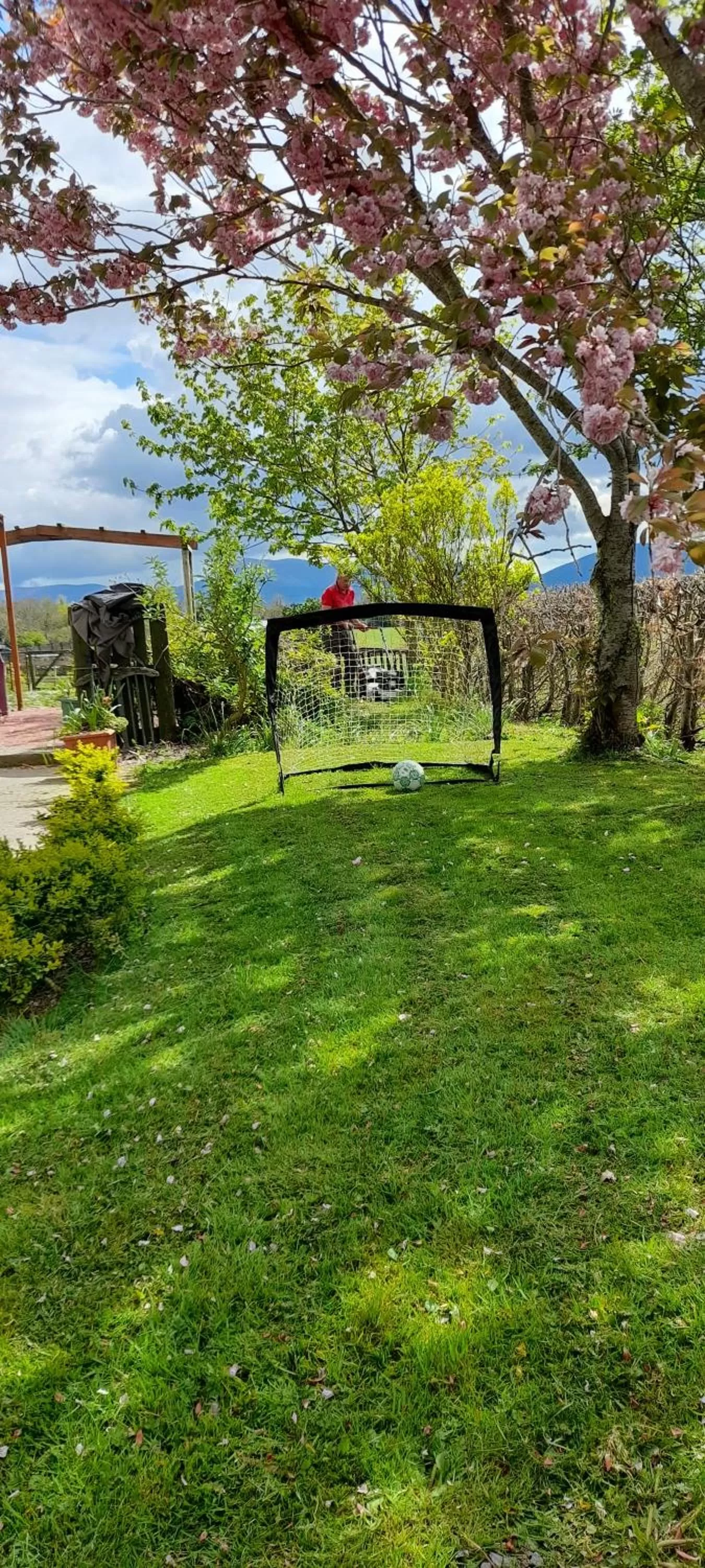 Property building in Annaswood B&B