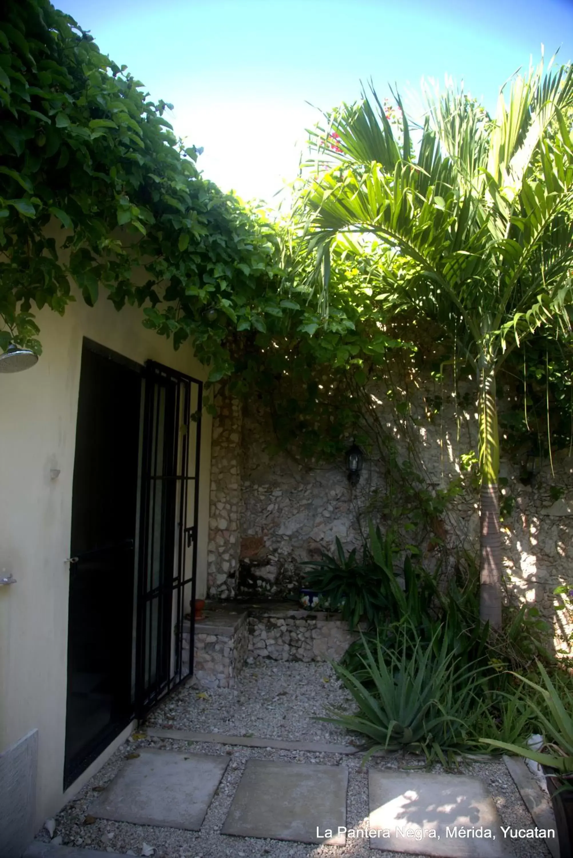 Patio, Property Building in La Pantera Negra