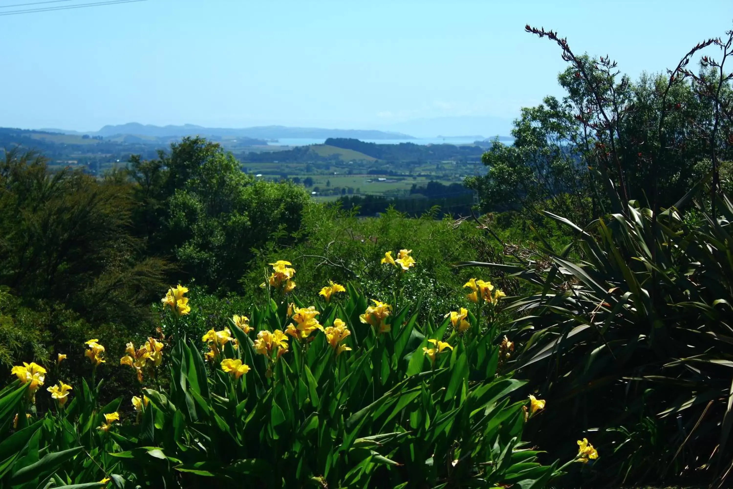 View (from property/room), Mountain View in Auckland Country Cottages