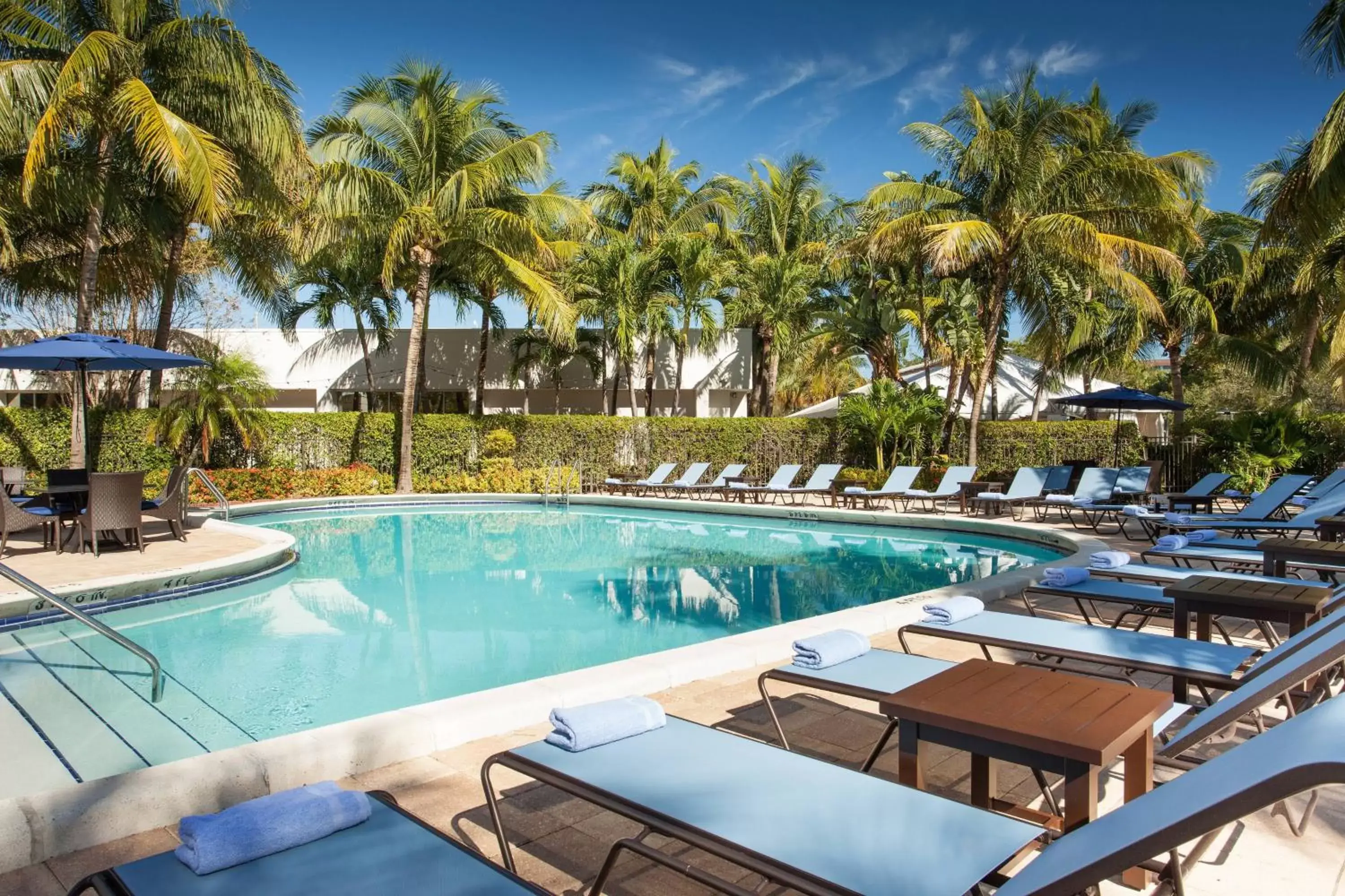 Swimming Pool in West Palm Beach Marriott