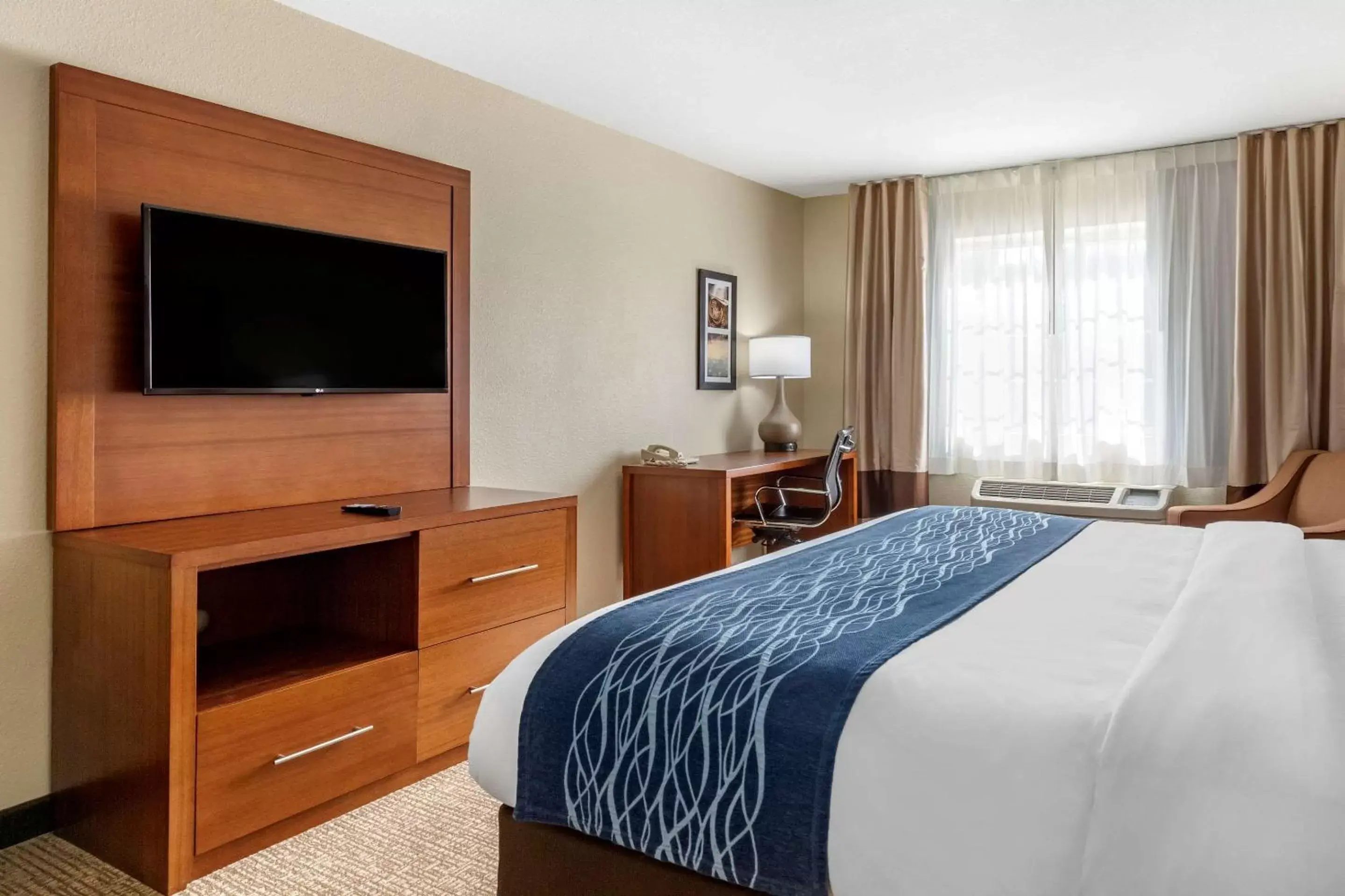 Photo of the whole room in Comfort Inn & Suites Texas Hill Country