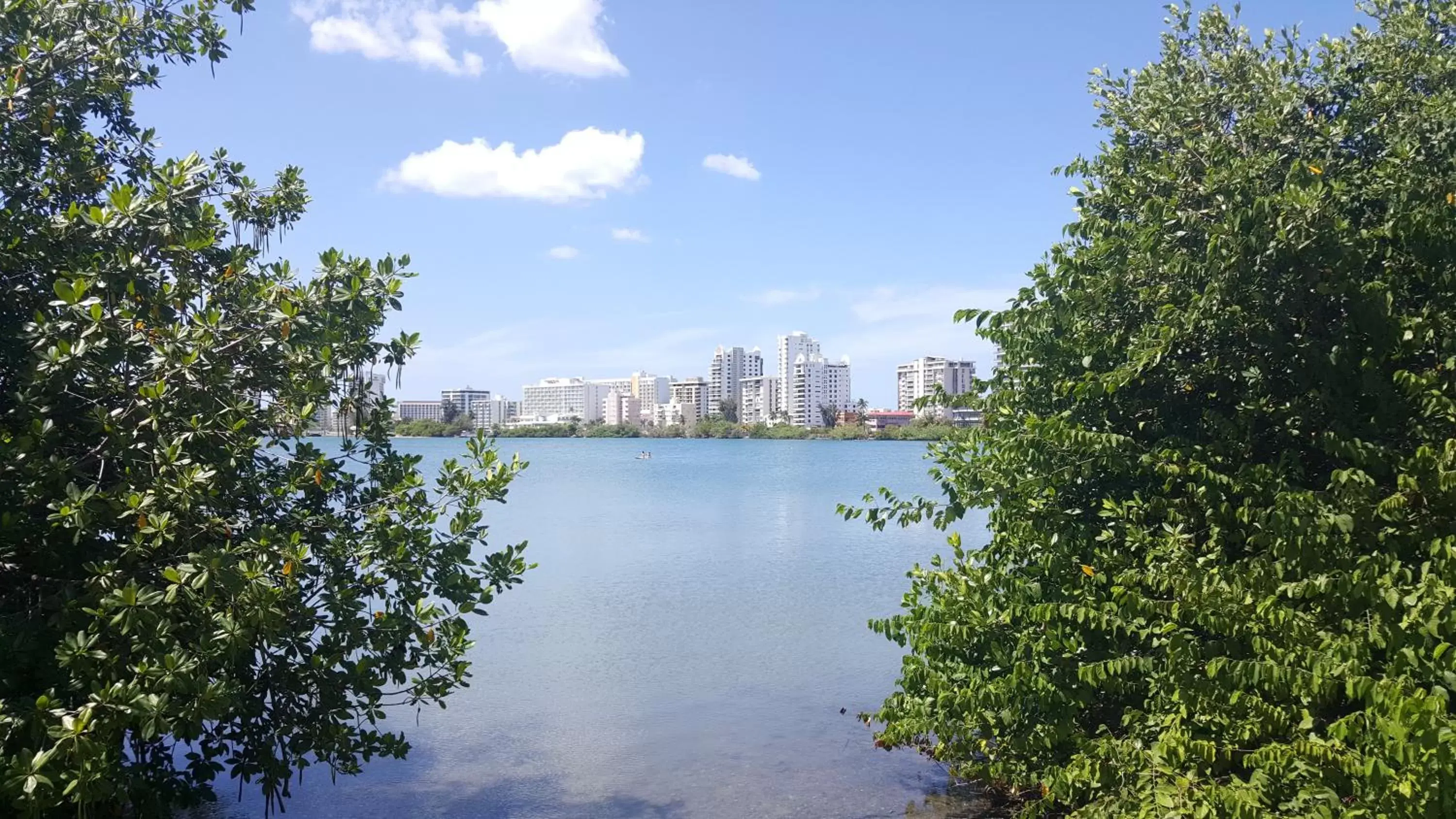 Natural landscape in The Wave Hotel Condado