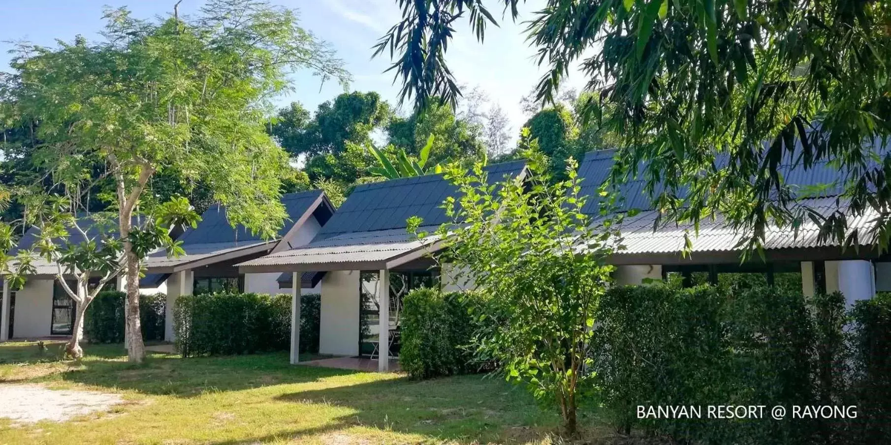 Property building in Banyan Resort @Rayong Property building in Banyan Resort @Rayong