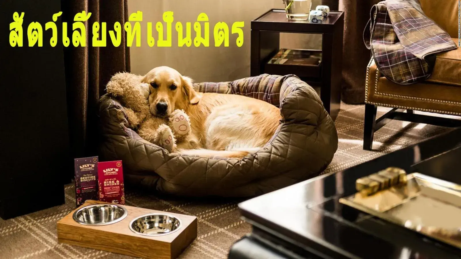Pets in Mini-golf & Resort Ubon Ratchathani