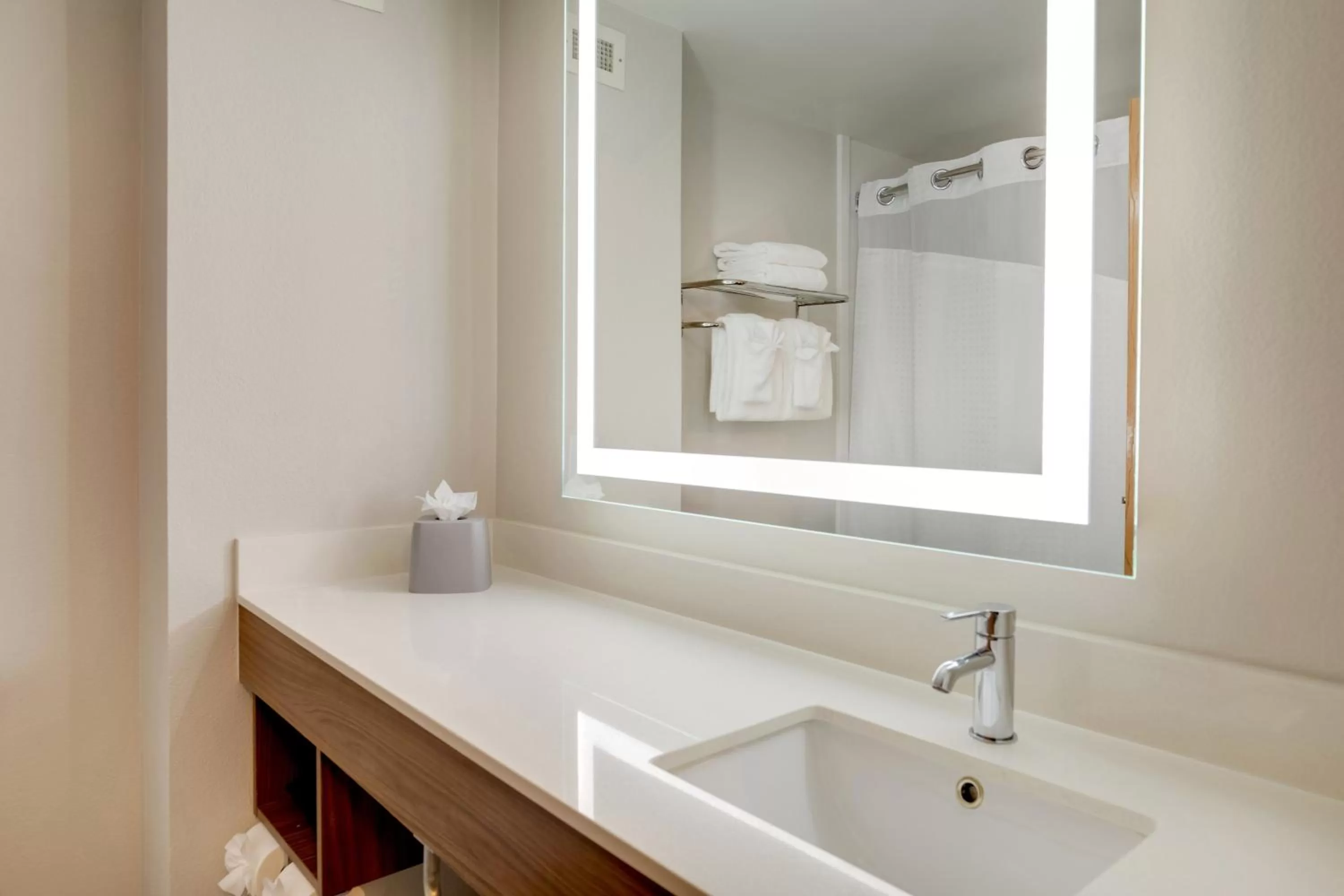 One-Bedroom King Suite - Non-Smoking in Holiday Inn Express I-95 Capitol Beltway - Largo, an IHG Hotel