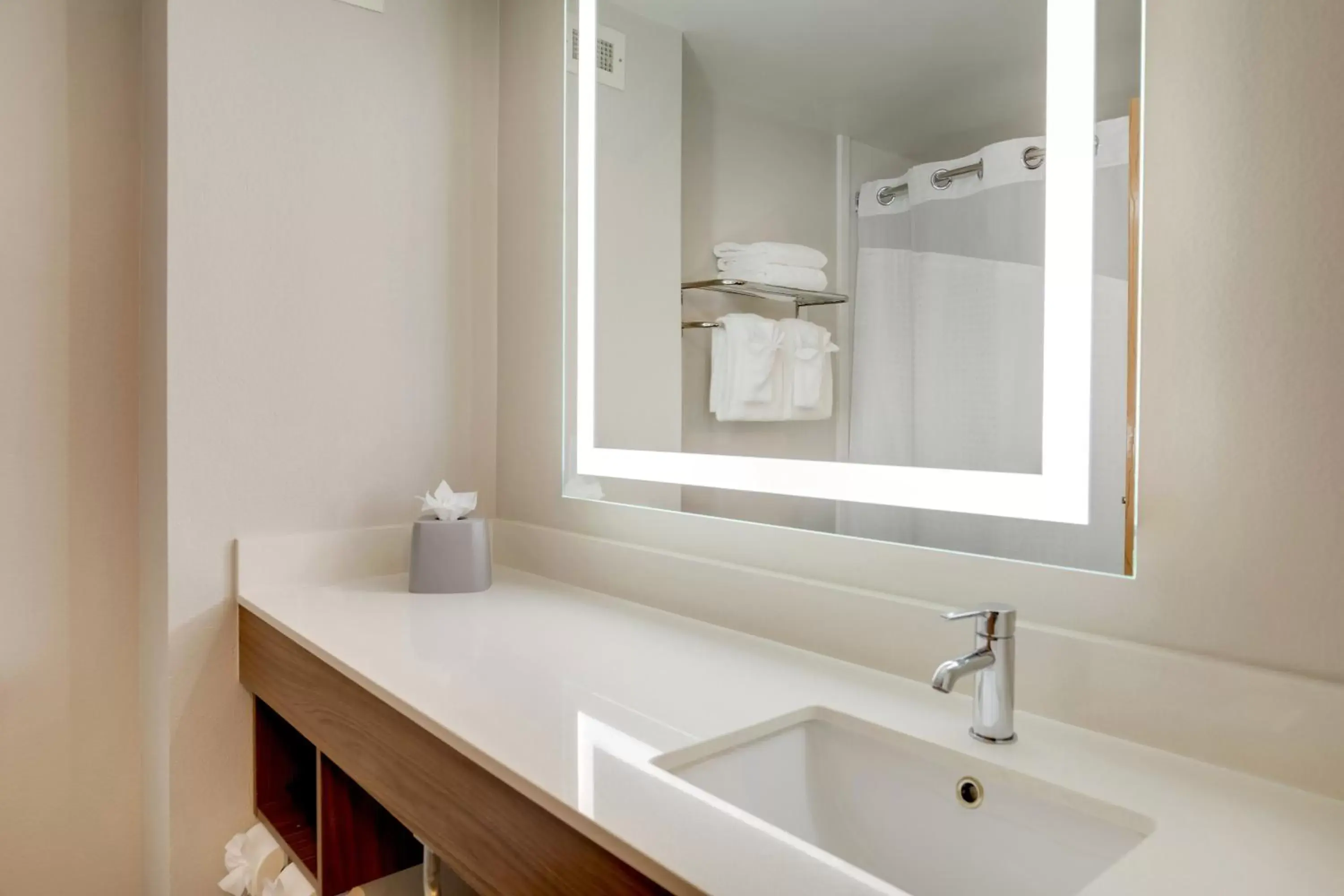 One-Bedroom King Suite - Non-Smoking in Holiday Inn Express I-95 Capitol Beltway - Largo, an IHG Hotel One-Bedroom King Suite - Non-Smoking in Holiday Inn Express I-95 Capitol Beltway - Largo, an IHG Hotel