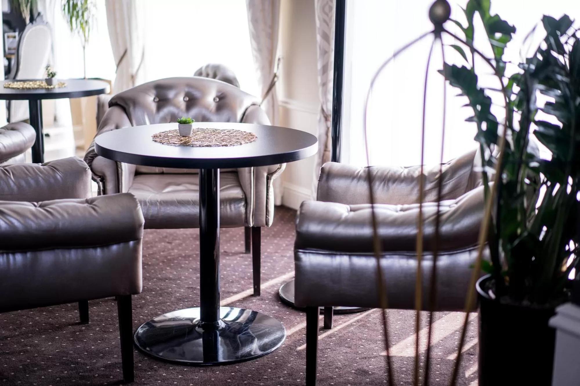 Lounge or bar in Hotel Luxor