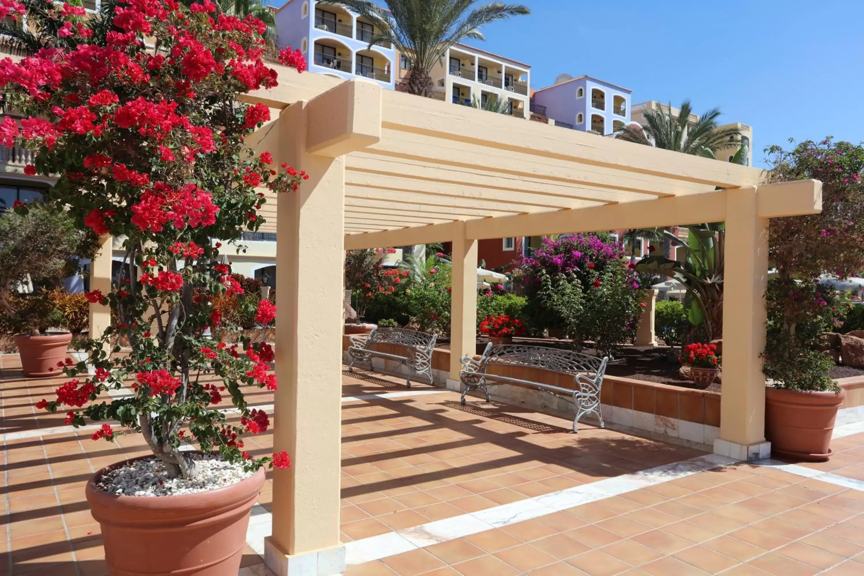 Property building in Bahia Principe Sunlight Tenerife Property building in Bahia Principe Sunlight Tenerife