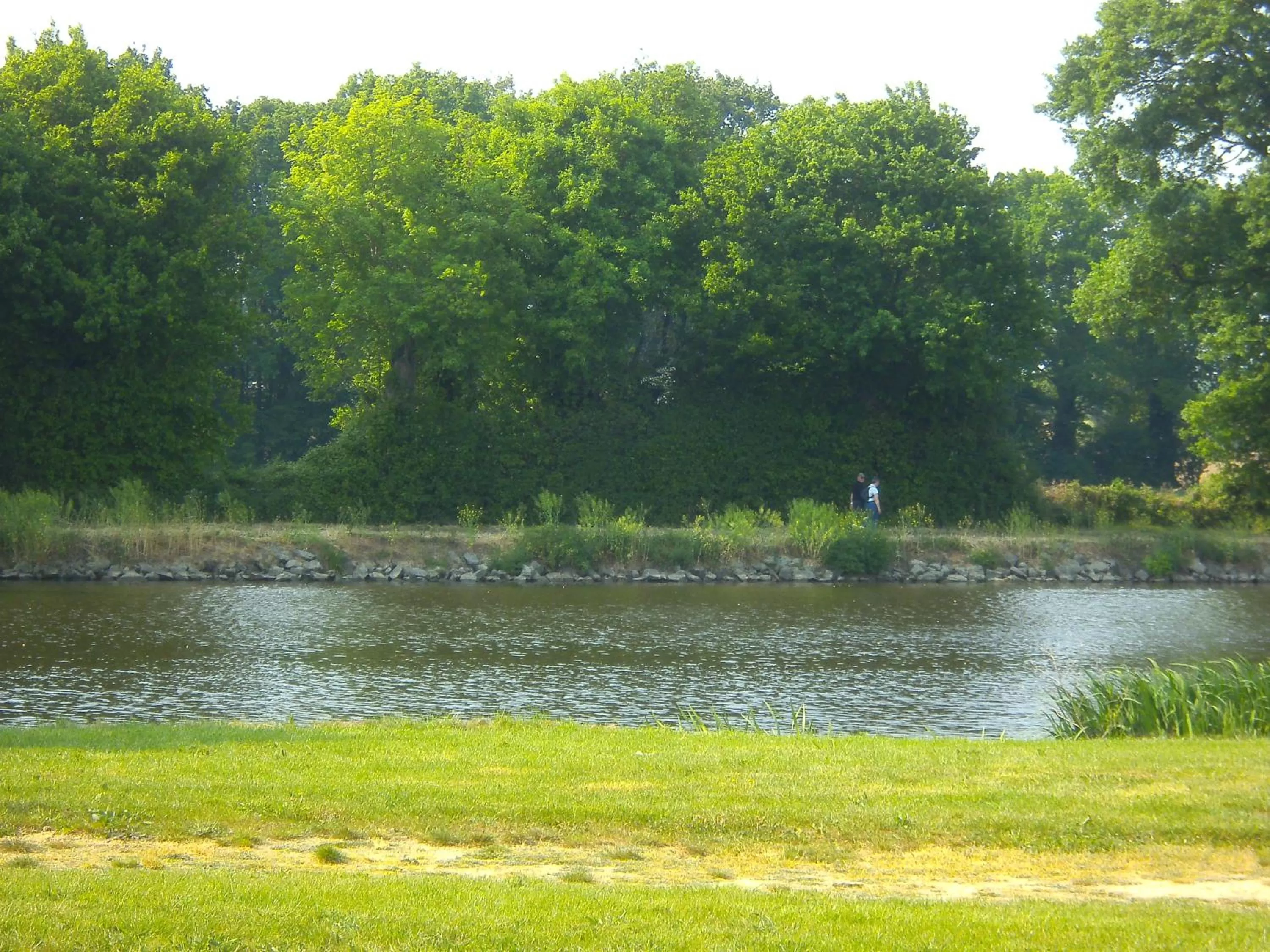 Activities in Cafecouet'Breizh