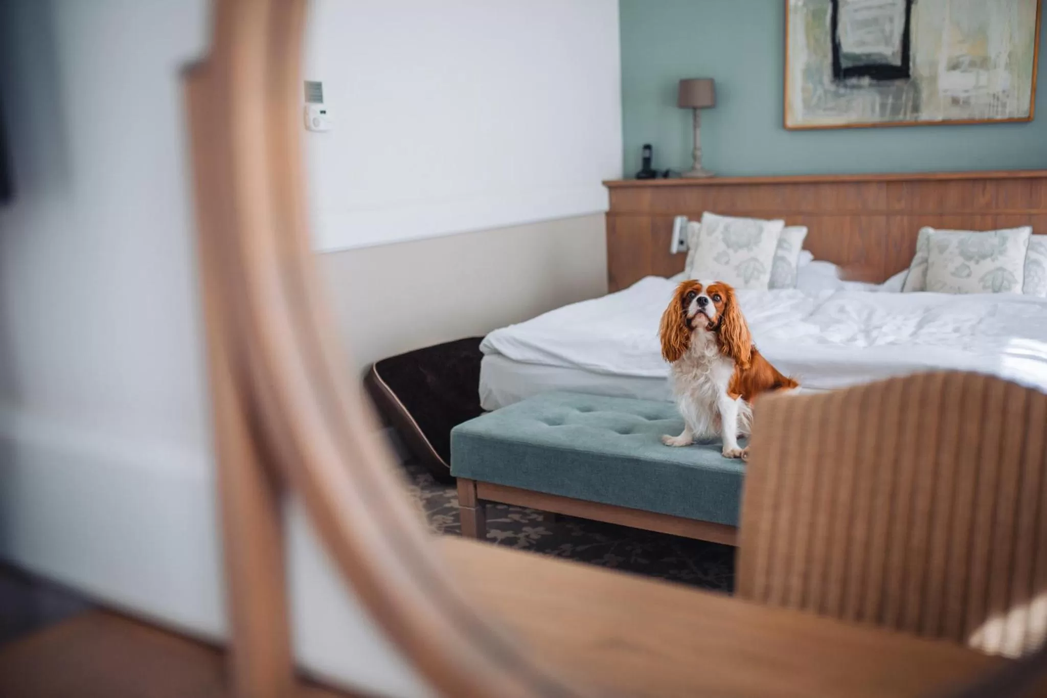 Photo of the whole room, Bed in Art Hotel