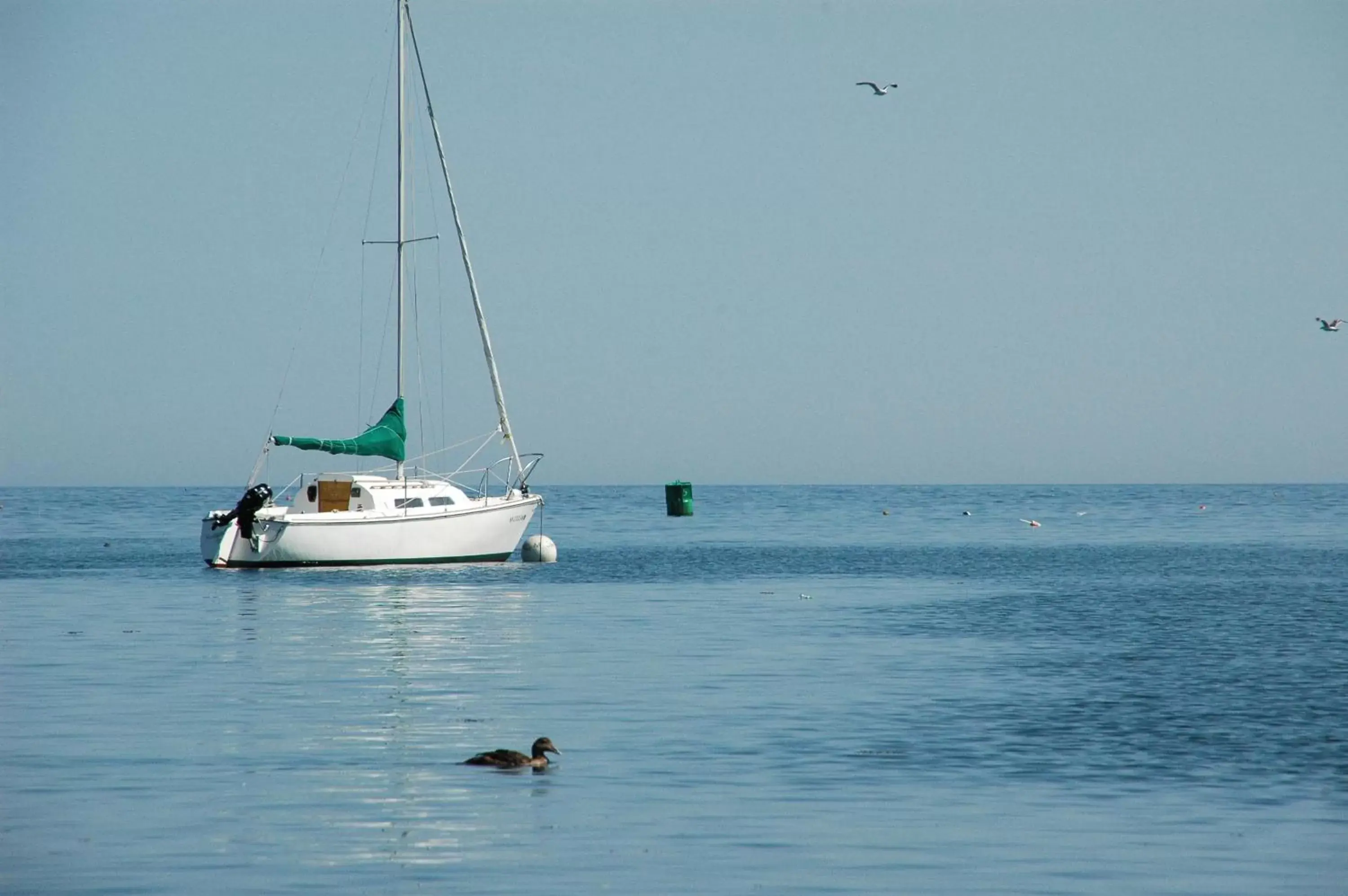 Fishing in Lamies Inn & The Old Salt Tavern