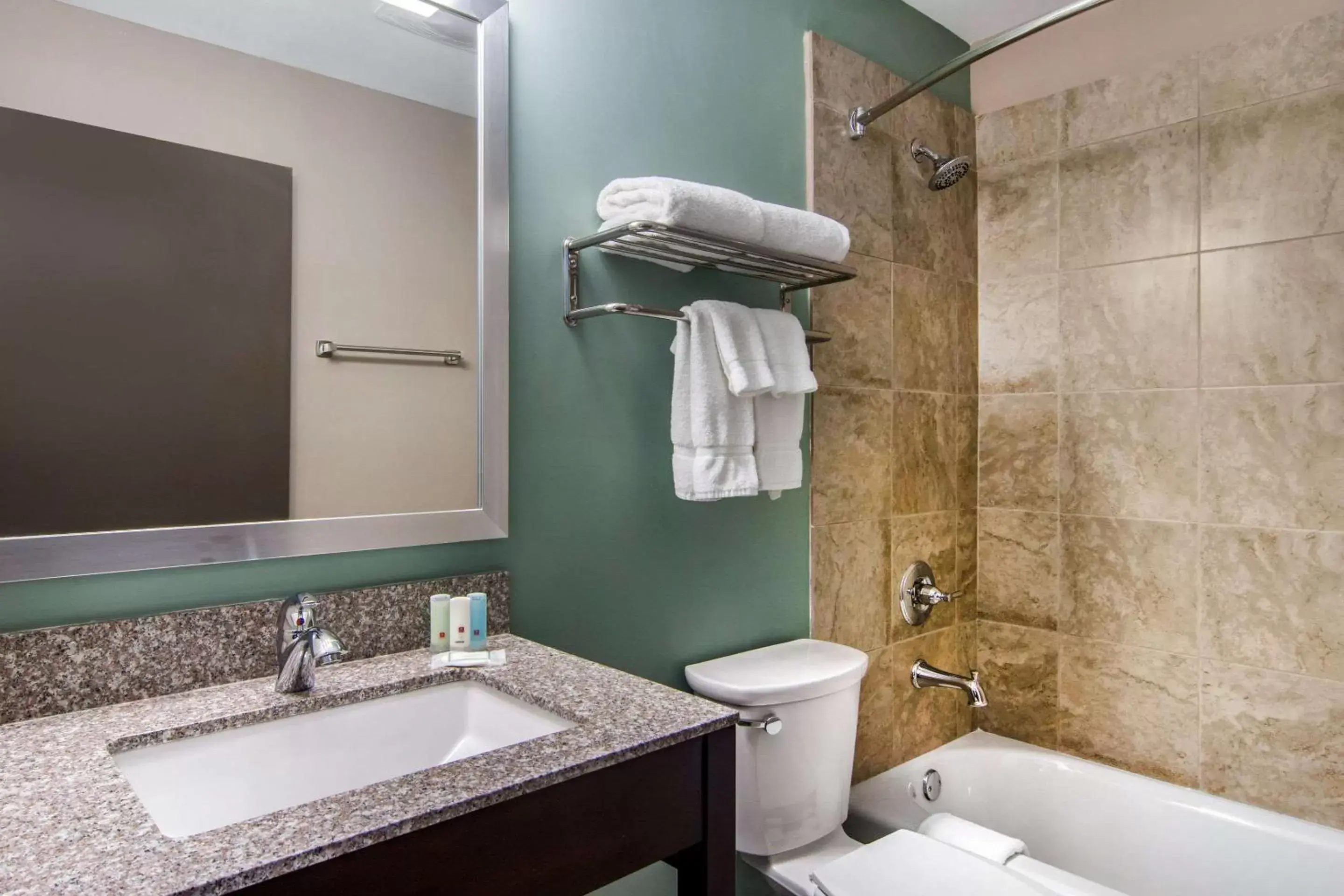Bathroom in Clarion Inn & Suites Atlanta Downtown