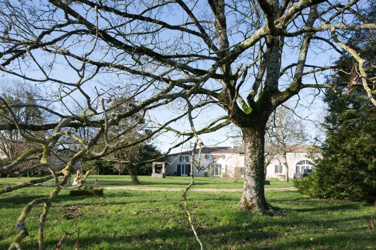 Property Building in La Bribaudonnière