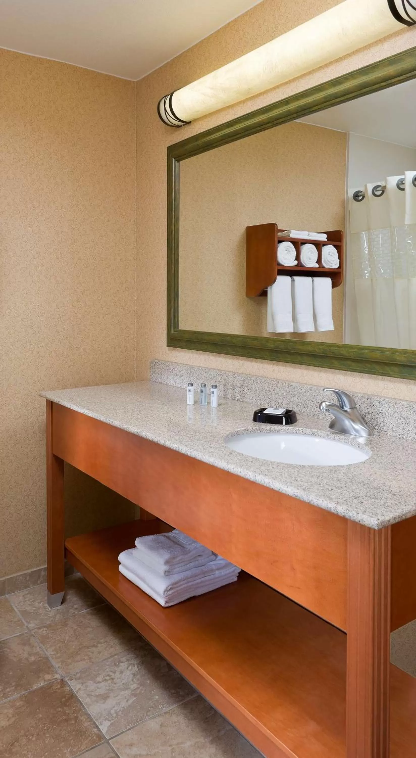 Bathroom in Hampton Inn Lubbock