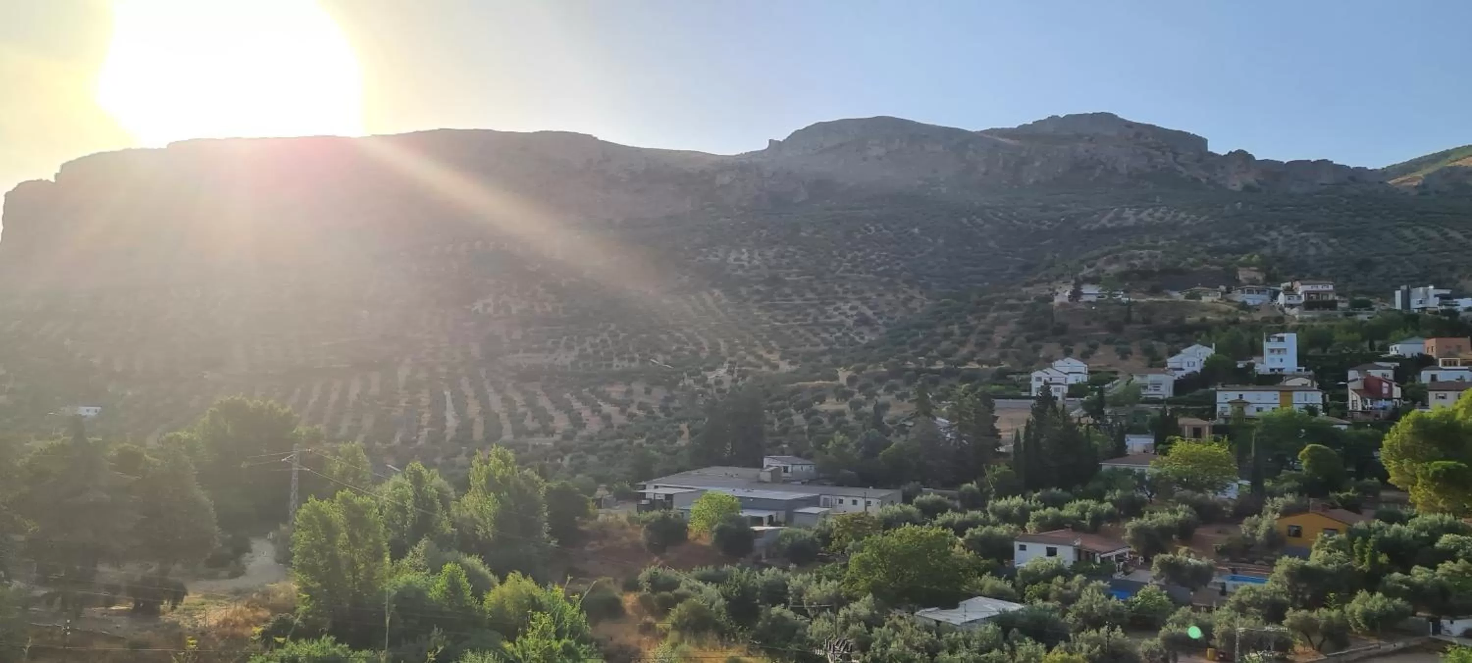 Bird's-eye View in Casa el Castano