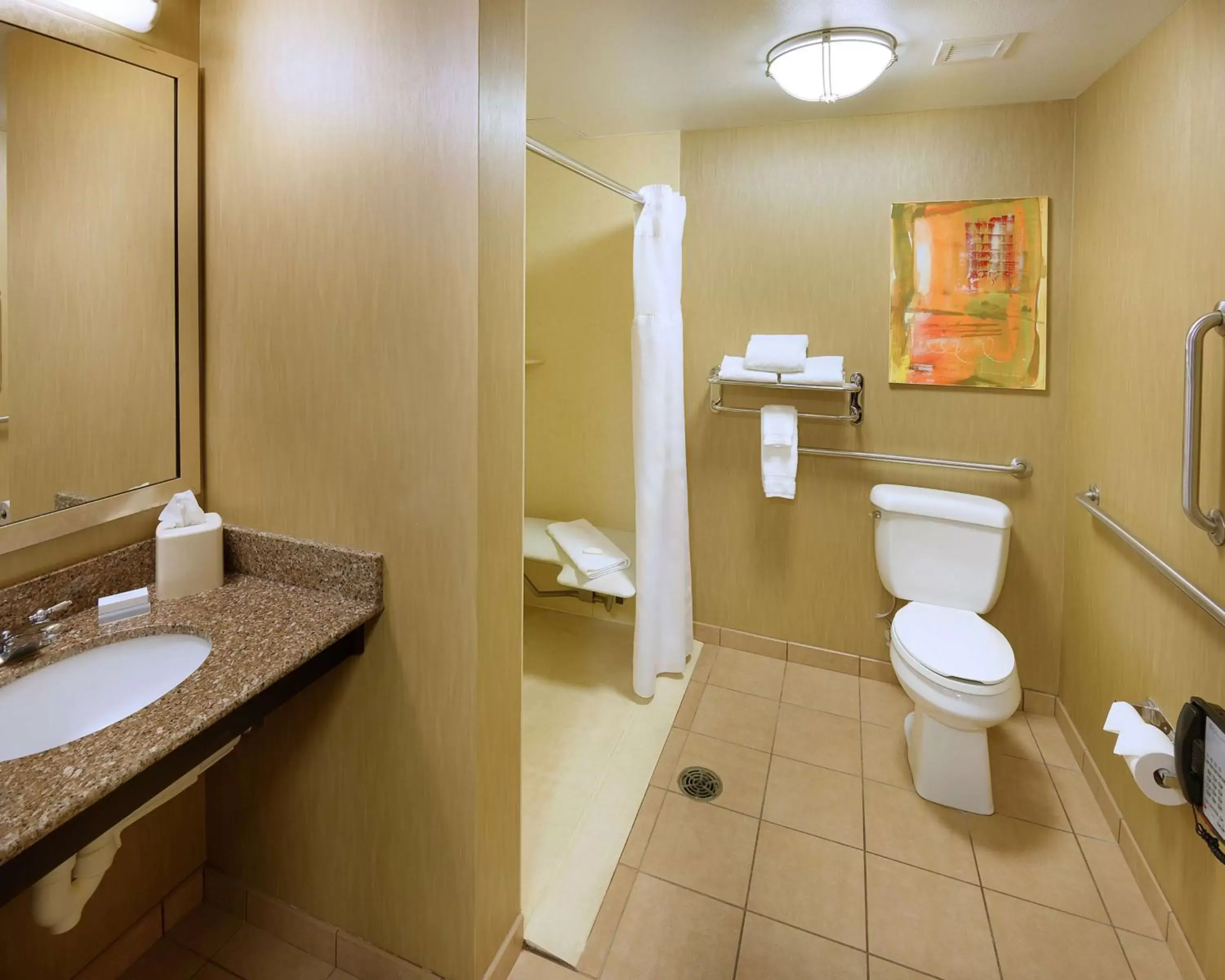 Bathroom in Hilton Garden Inn Springfield, MO