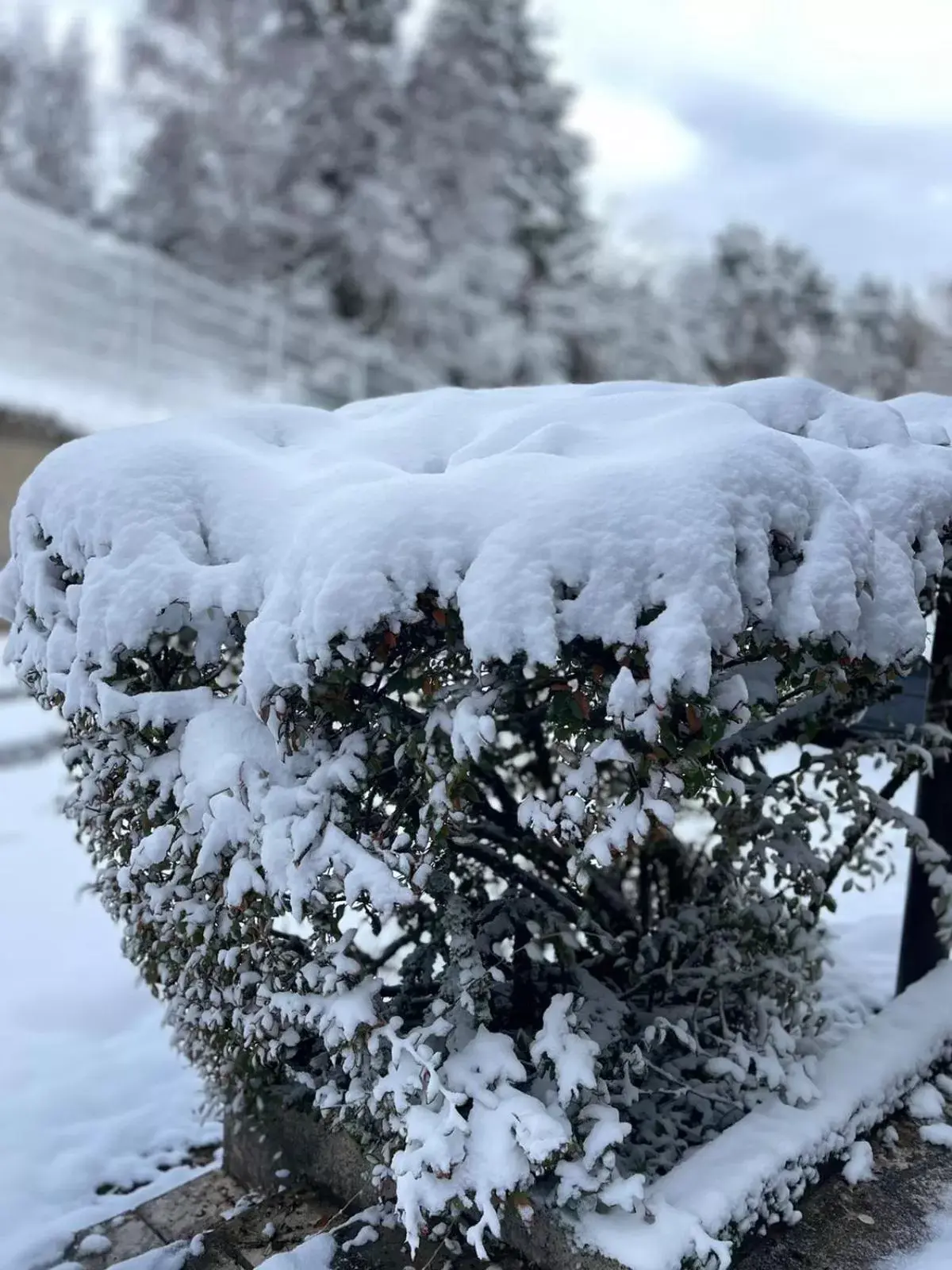 Natural landscape, Winter in authentic by balladins – Rodez / Le Ségala