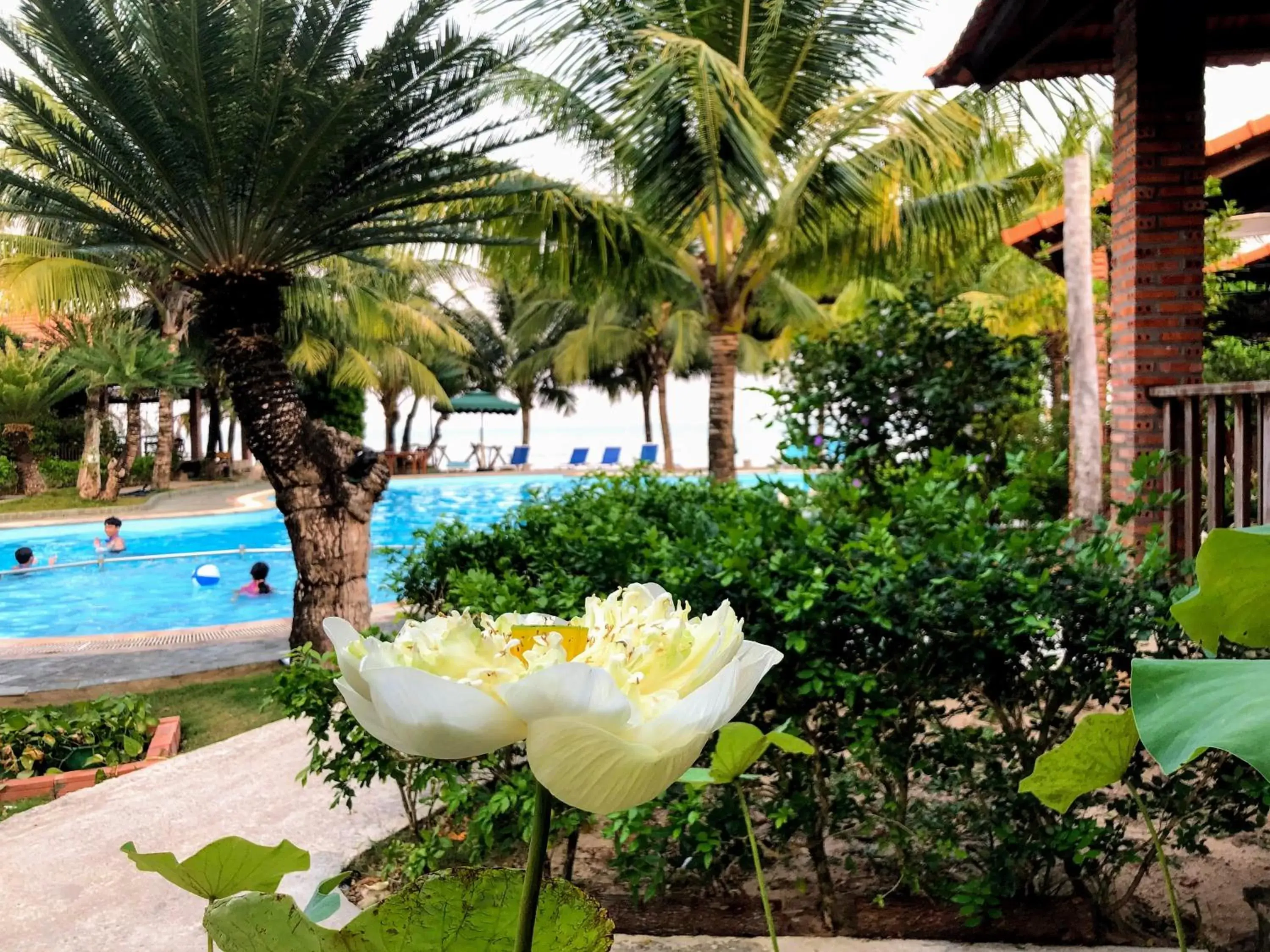 Patio, Swimming Pool in Wildland Resort