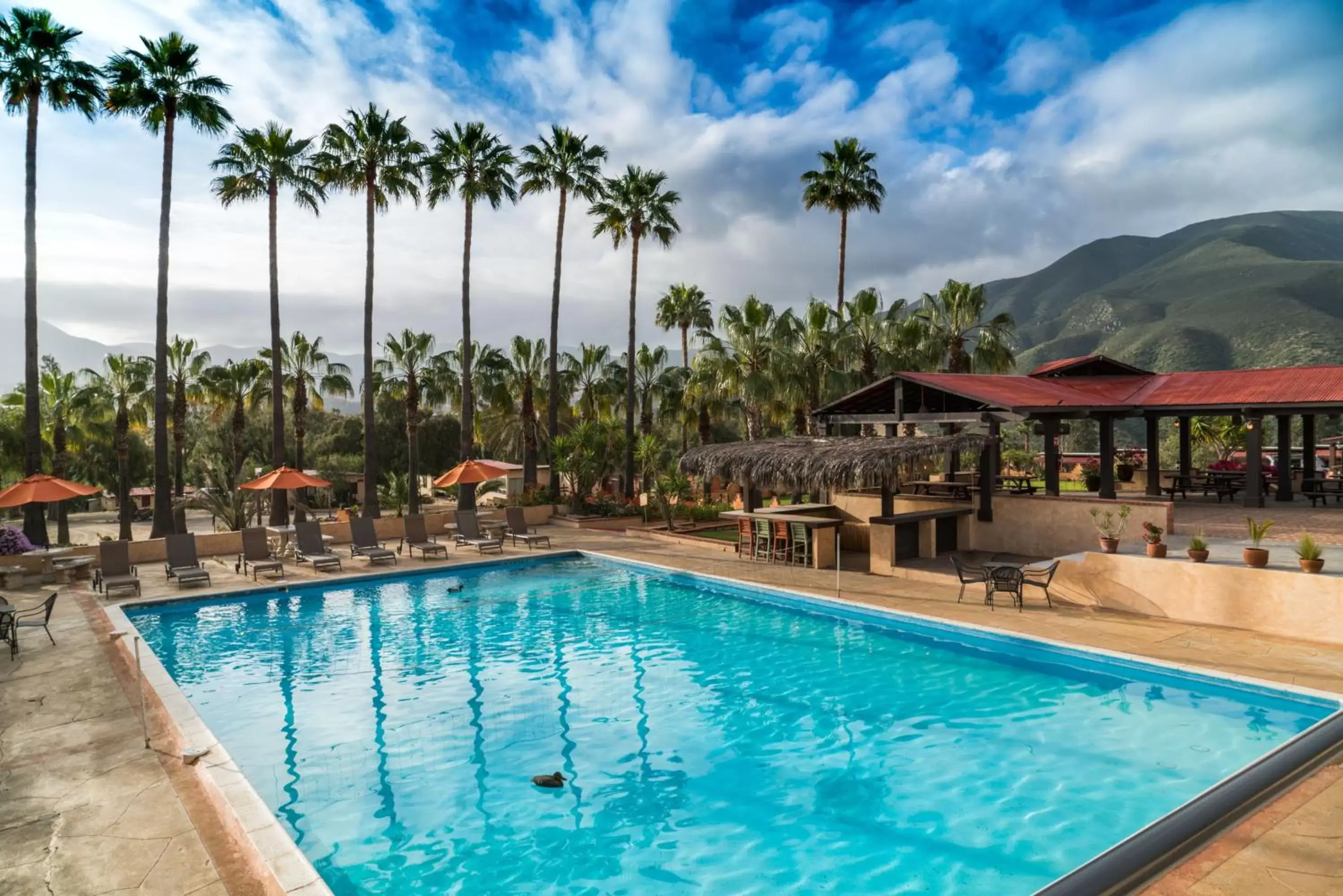 Pool view, Swimming Pool in Horsepower Ranch