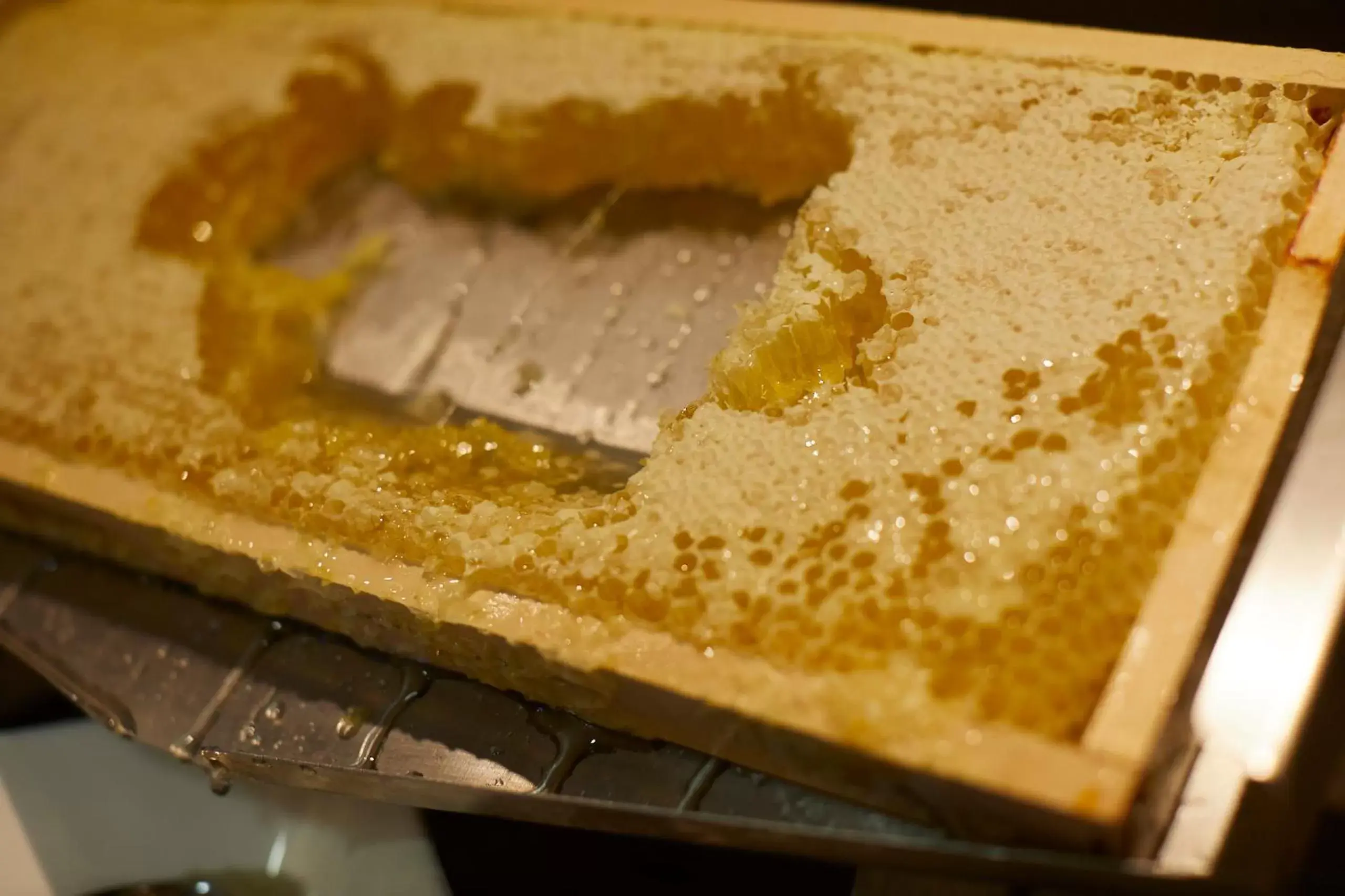 Food close-up in Hotel Mirabell by Maier Privathotels Food close-up in Hotel Mirabell by Maier Privathotels